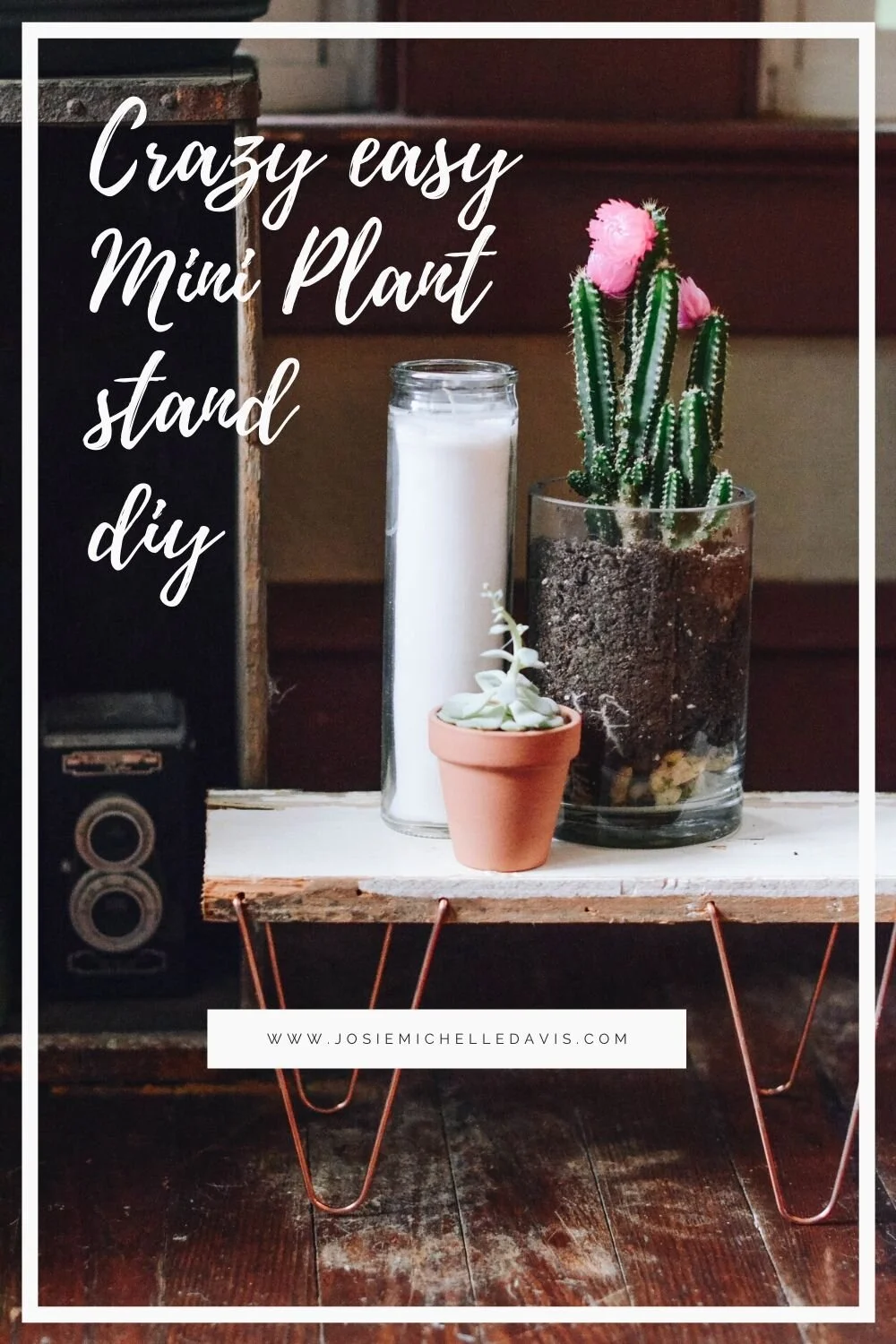 Easy DIY Mini Plant Stand - Josie Michelle Davis Blog