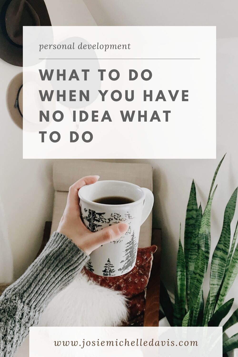 What to do when you don't know what to do - Josie Davis Blog