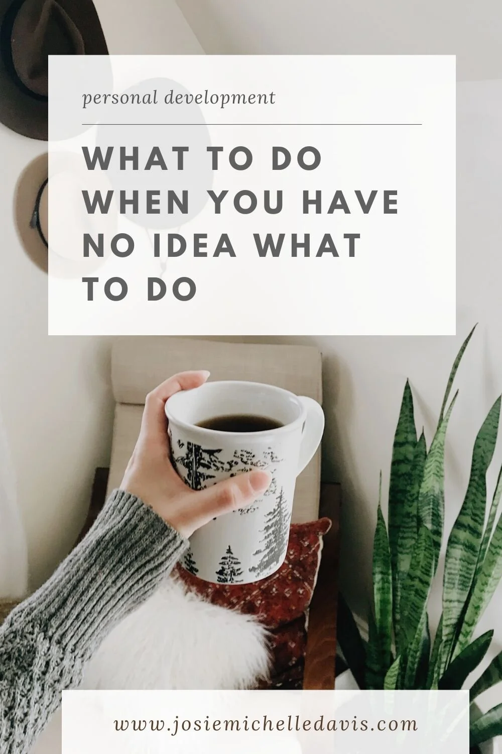 What to do (when you have no idea what to do) - Josie Michelle Davis
