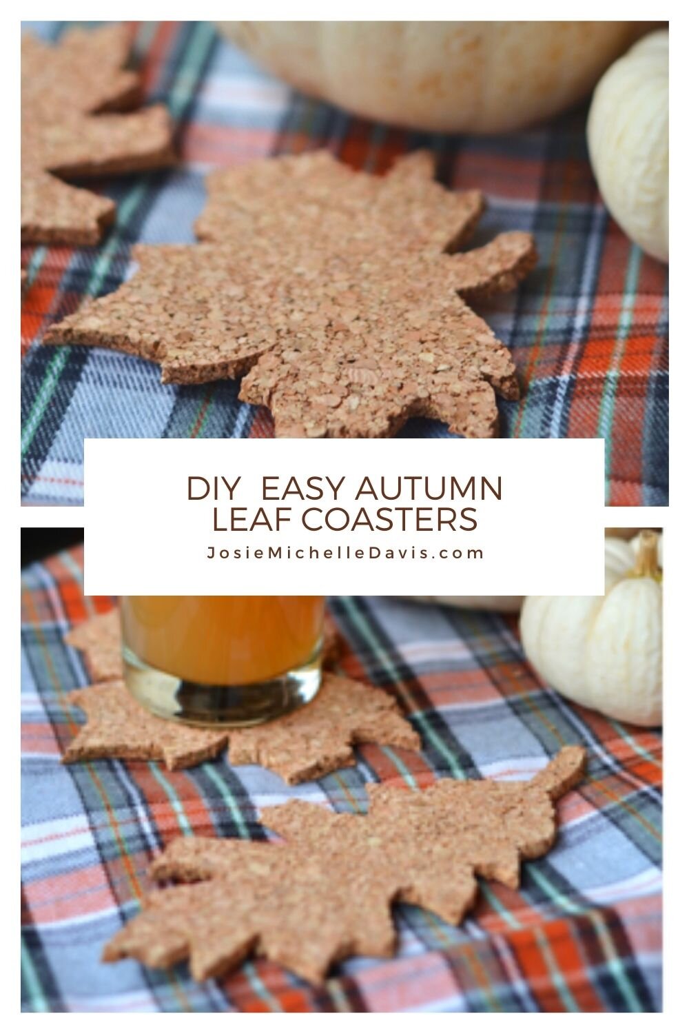 Easy Autumn Coasters to Make Yourself this Fall