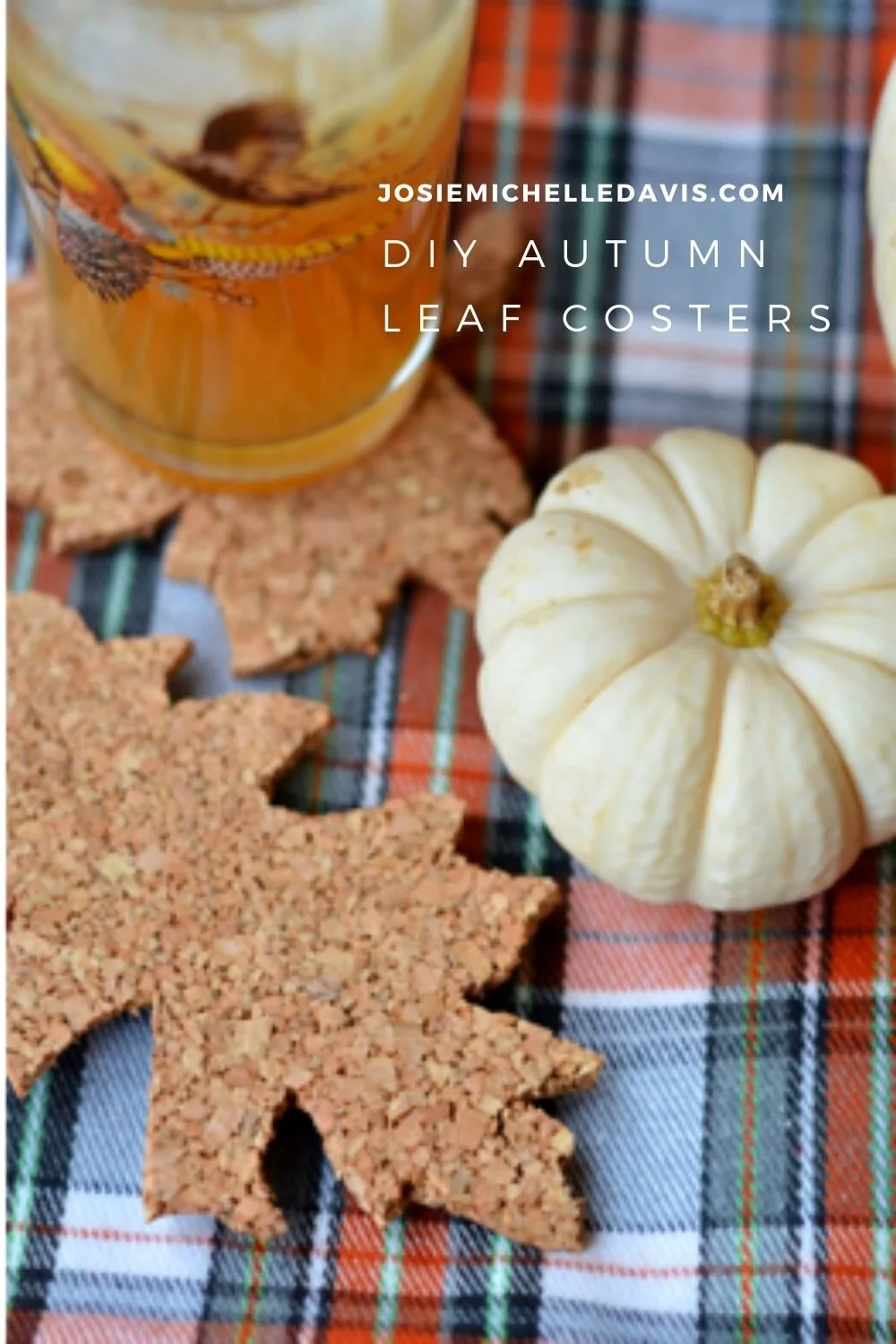 Fall Leaf Coasters to DIY