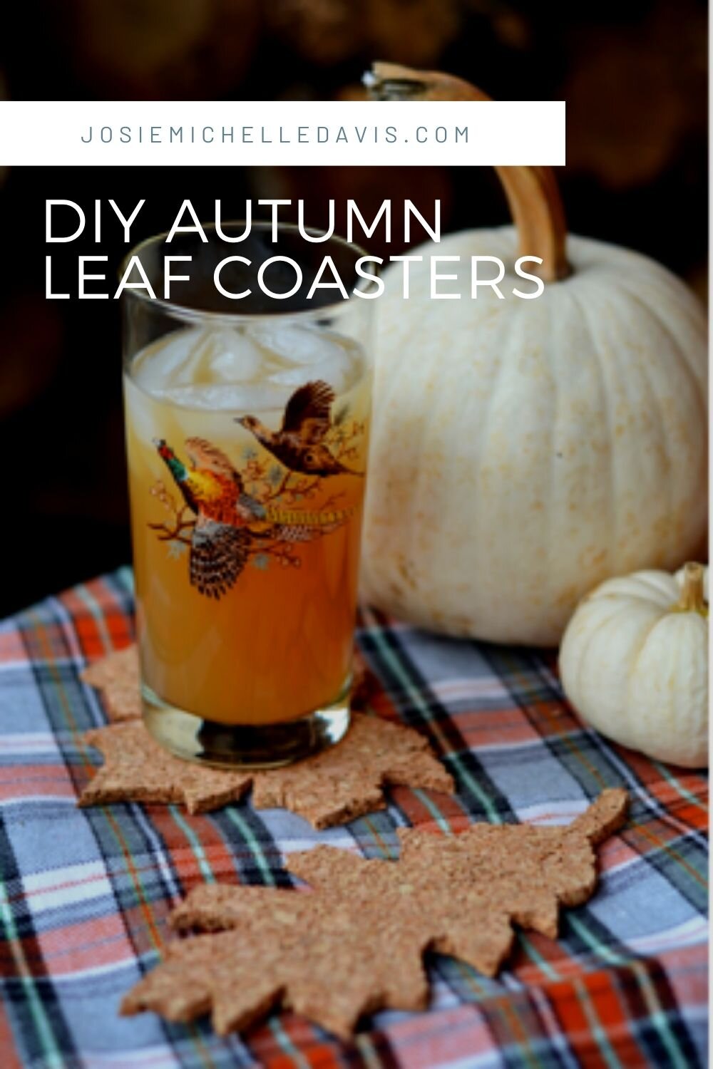 Make Your Own Fall Leaf Coasters