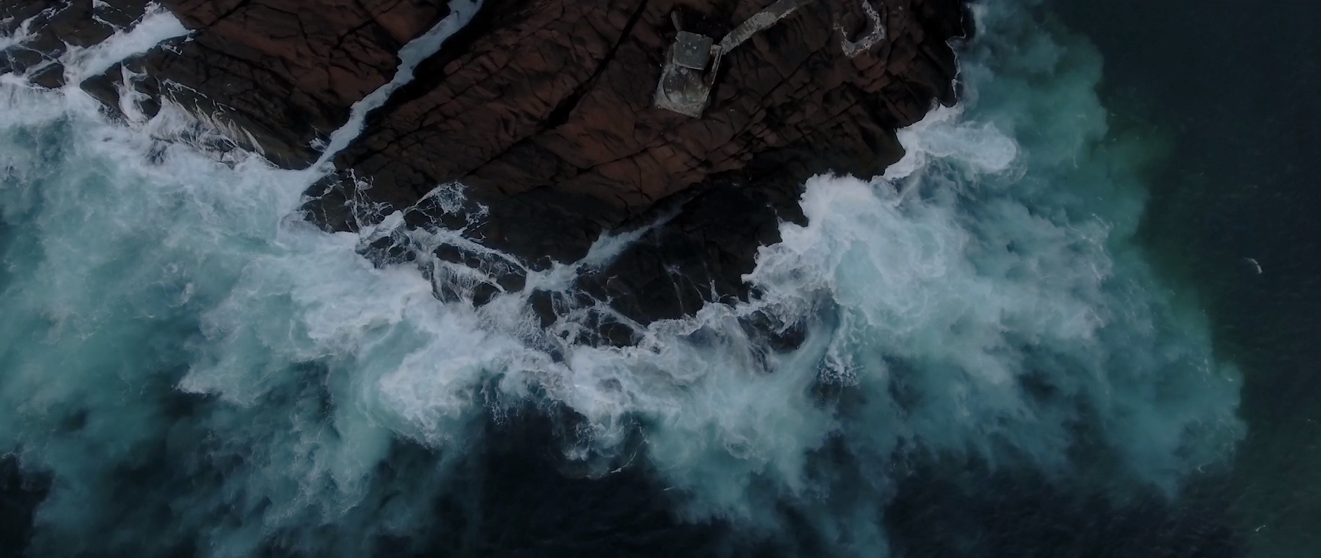 Photographer Profile: Becki Peckham