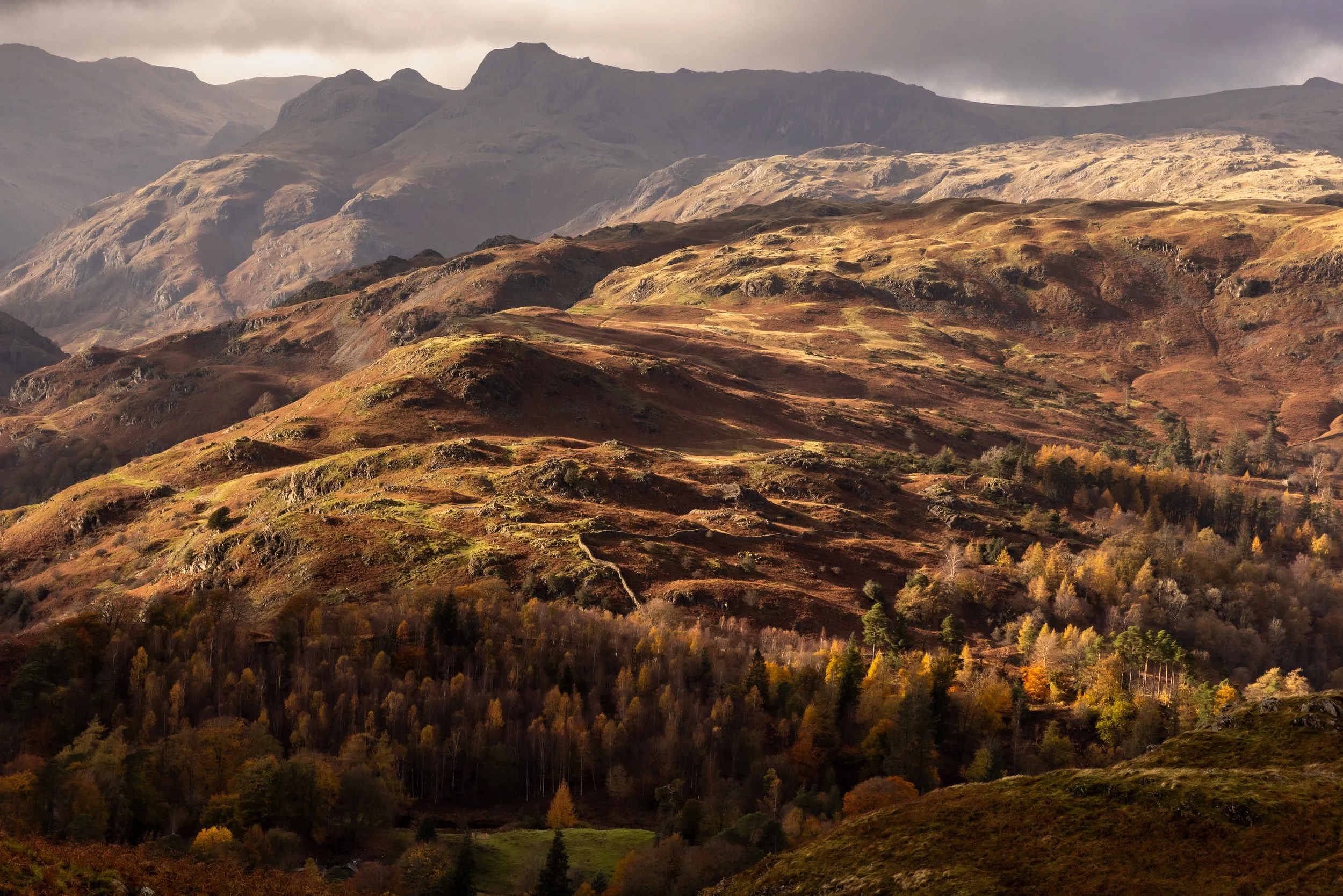 Anchored in Autumn: Capturing Landscapes with ProMaster Tripods