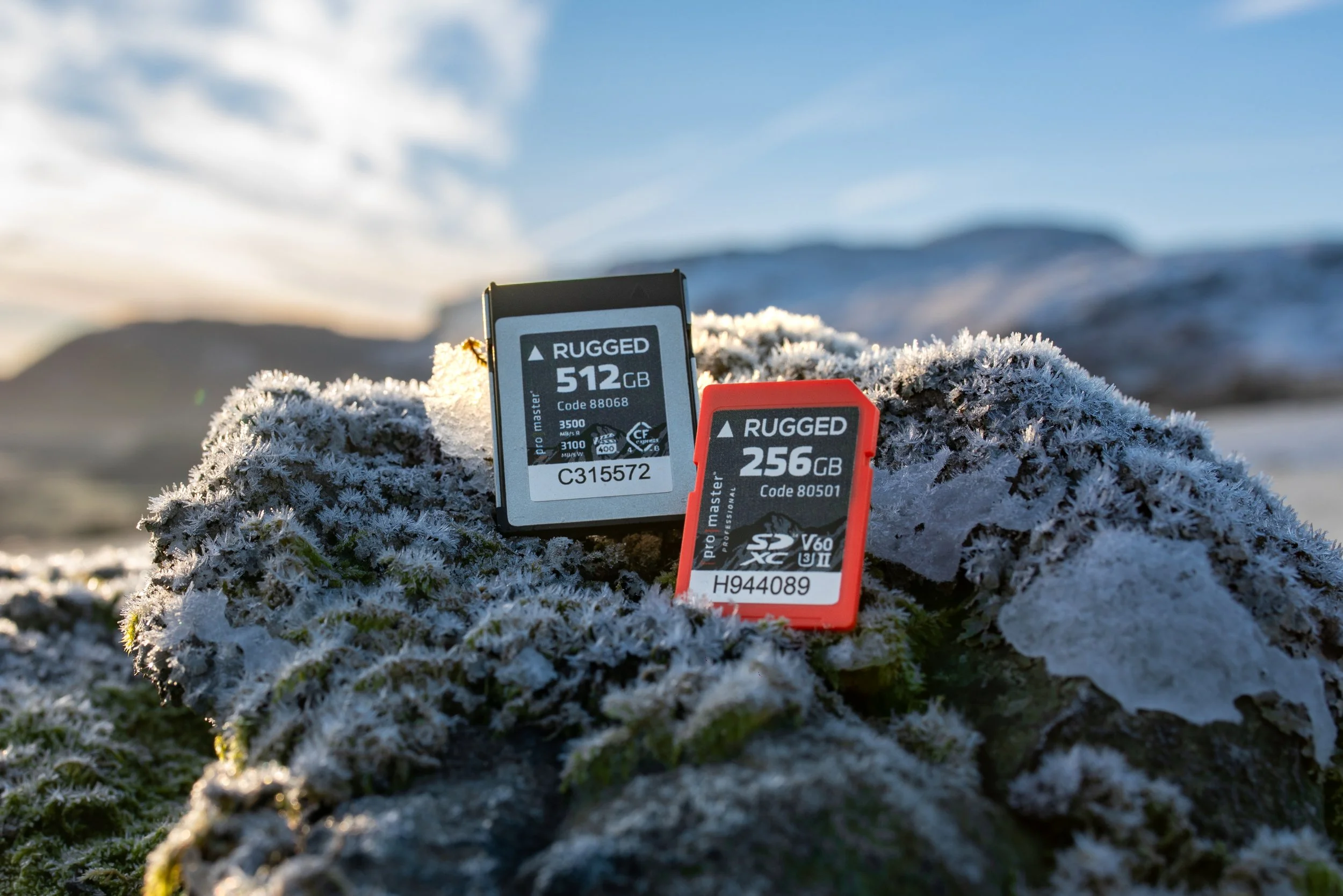 Rugged, Reliable, Ready: How ProMaster’s Memory Cards Fuel My Workflow