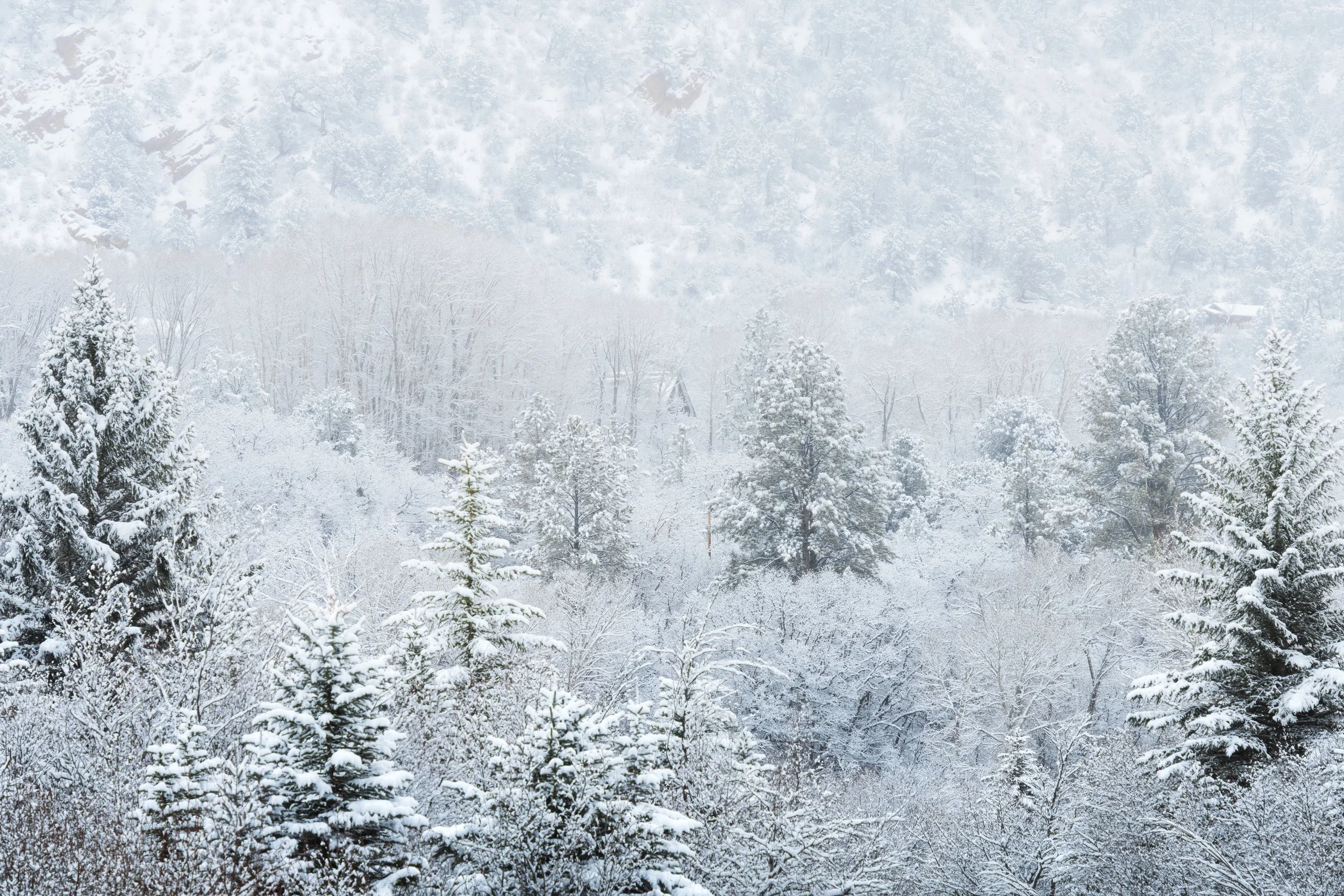 How the Right Gear Keeps My Confidence High in the Field