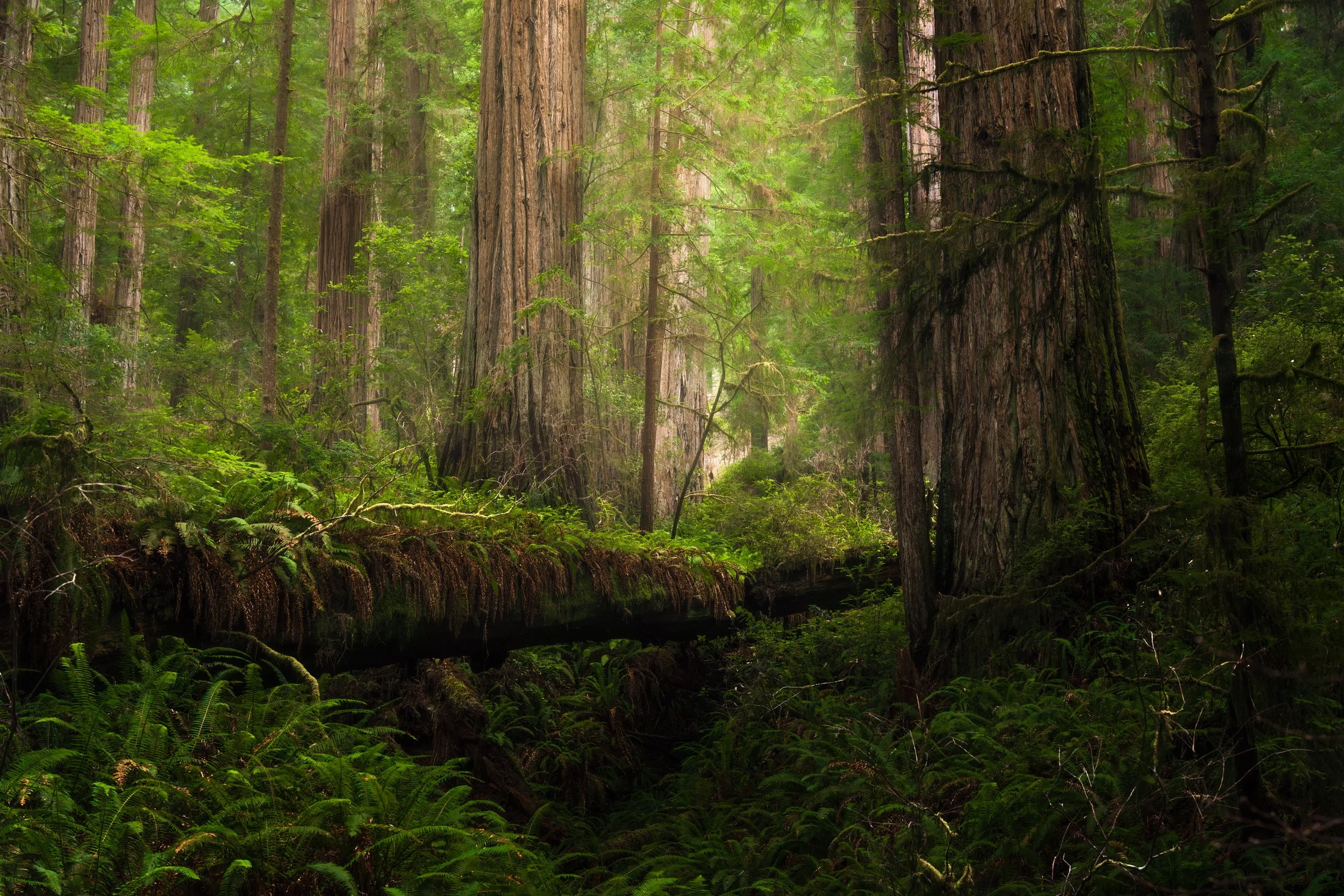 Making the Most of 12 Hours on the Oregon Coast 
