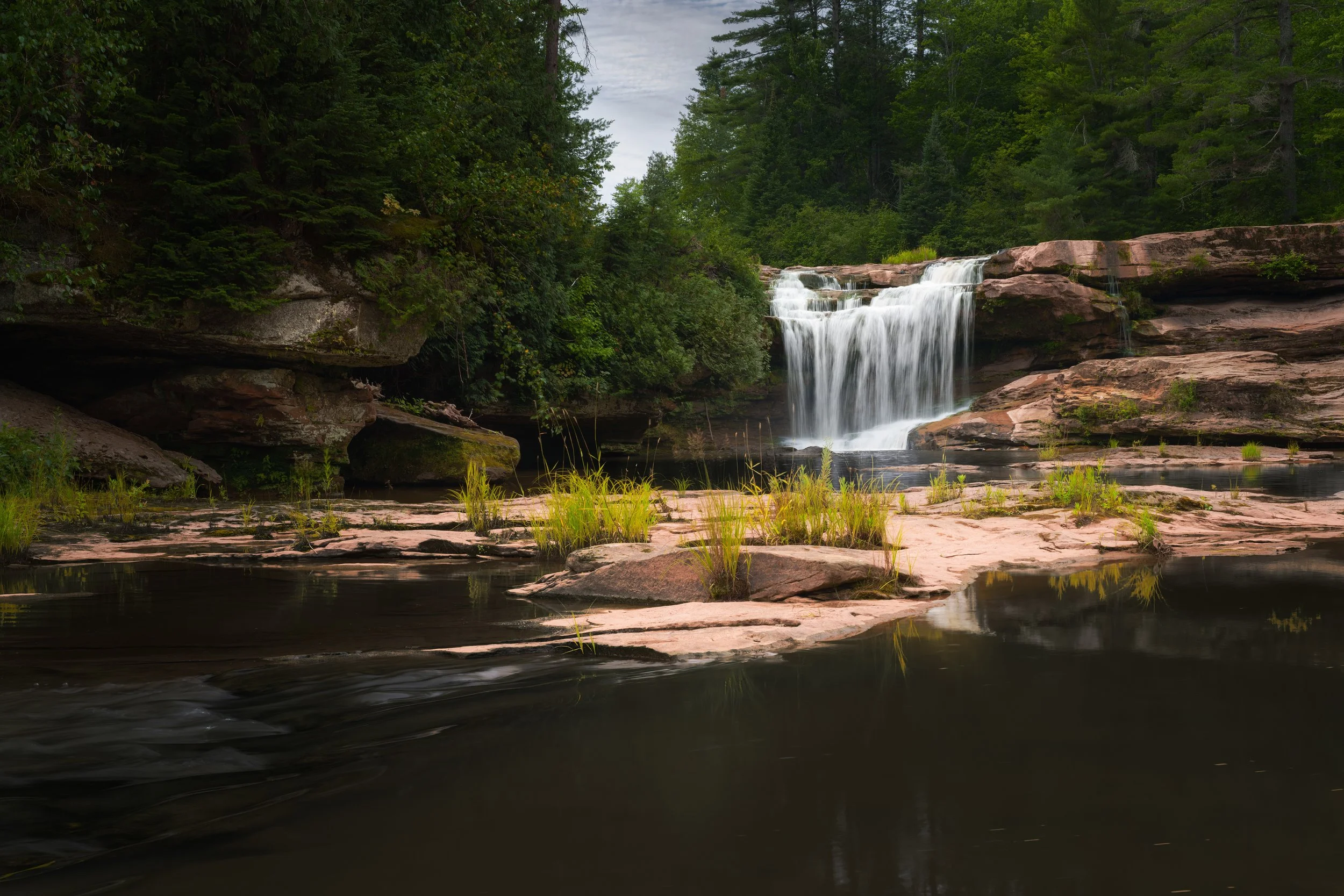 Celebrate Earth Day Every Day