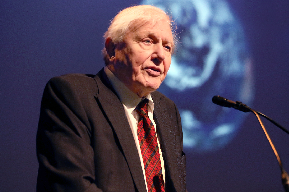 David Attenborough