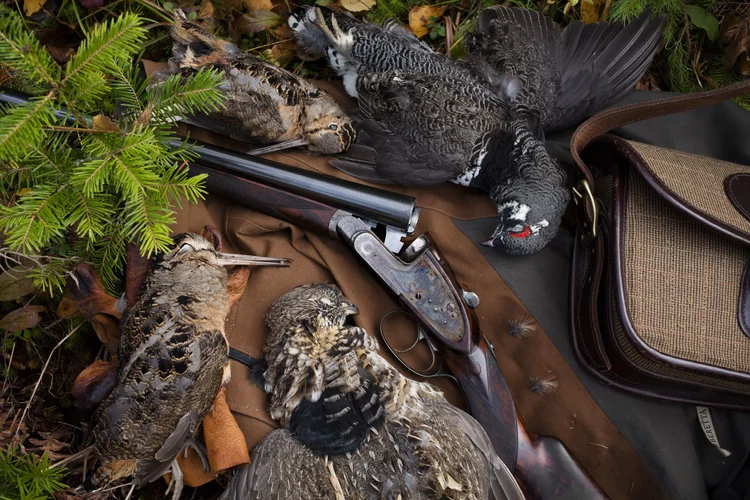 Best Place to Bird Hunt: Top Spots for Thrilling Adventures