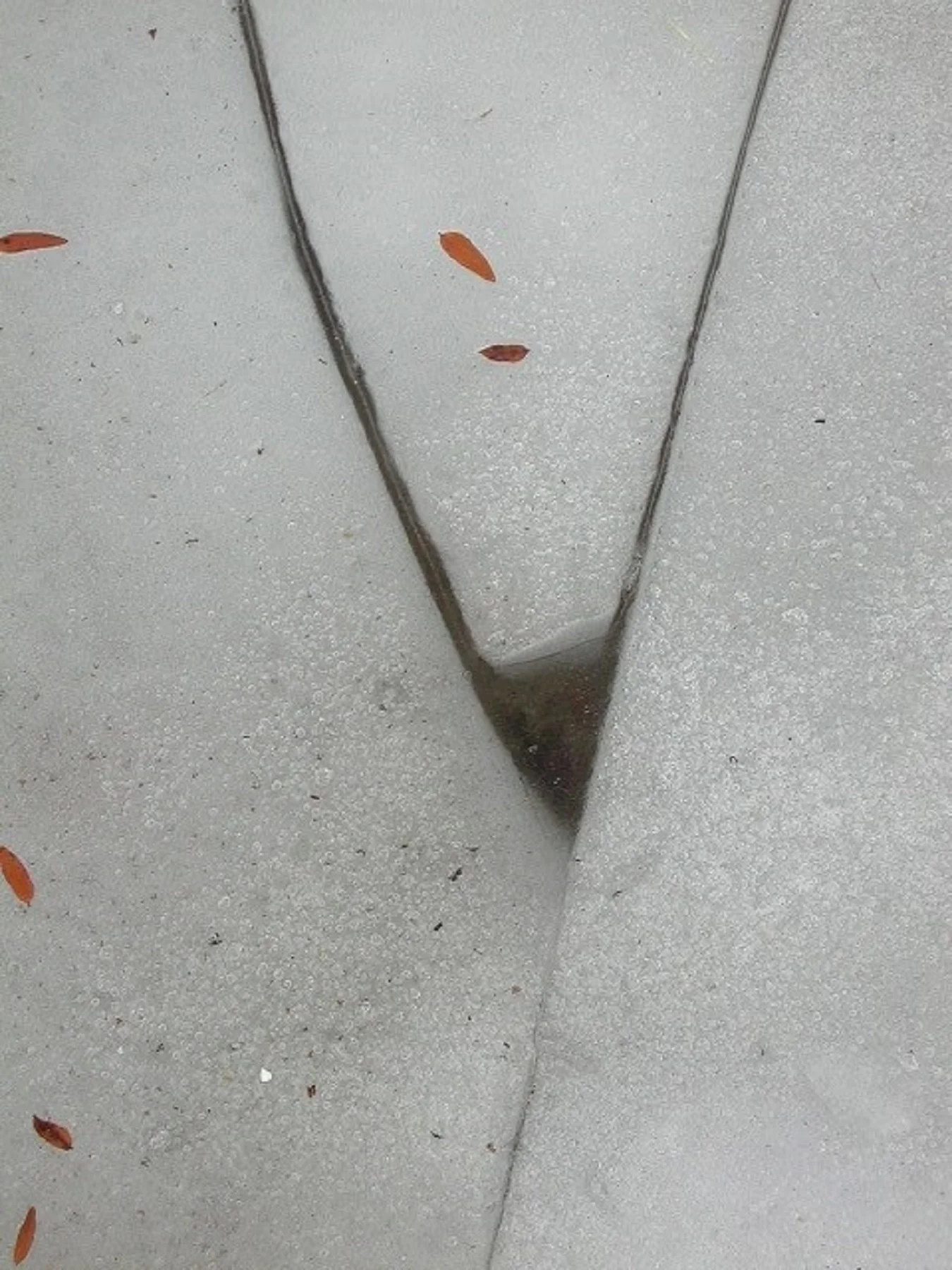 Ice Y photo for book resized down.jpg