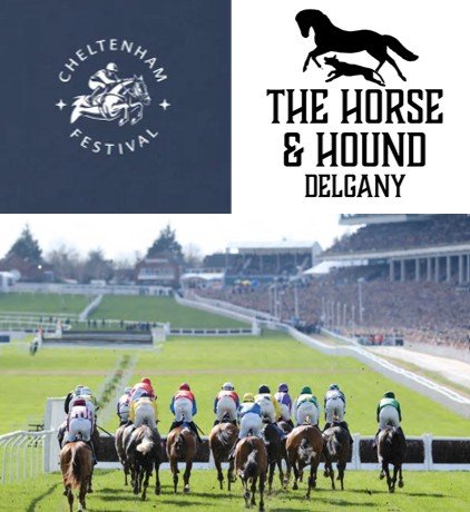 Cheltenham Races  Wed