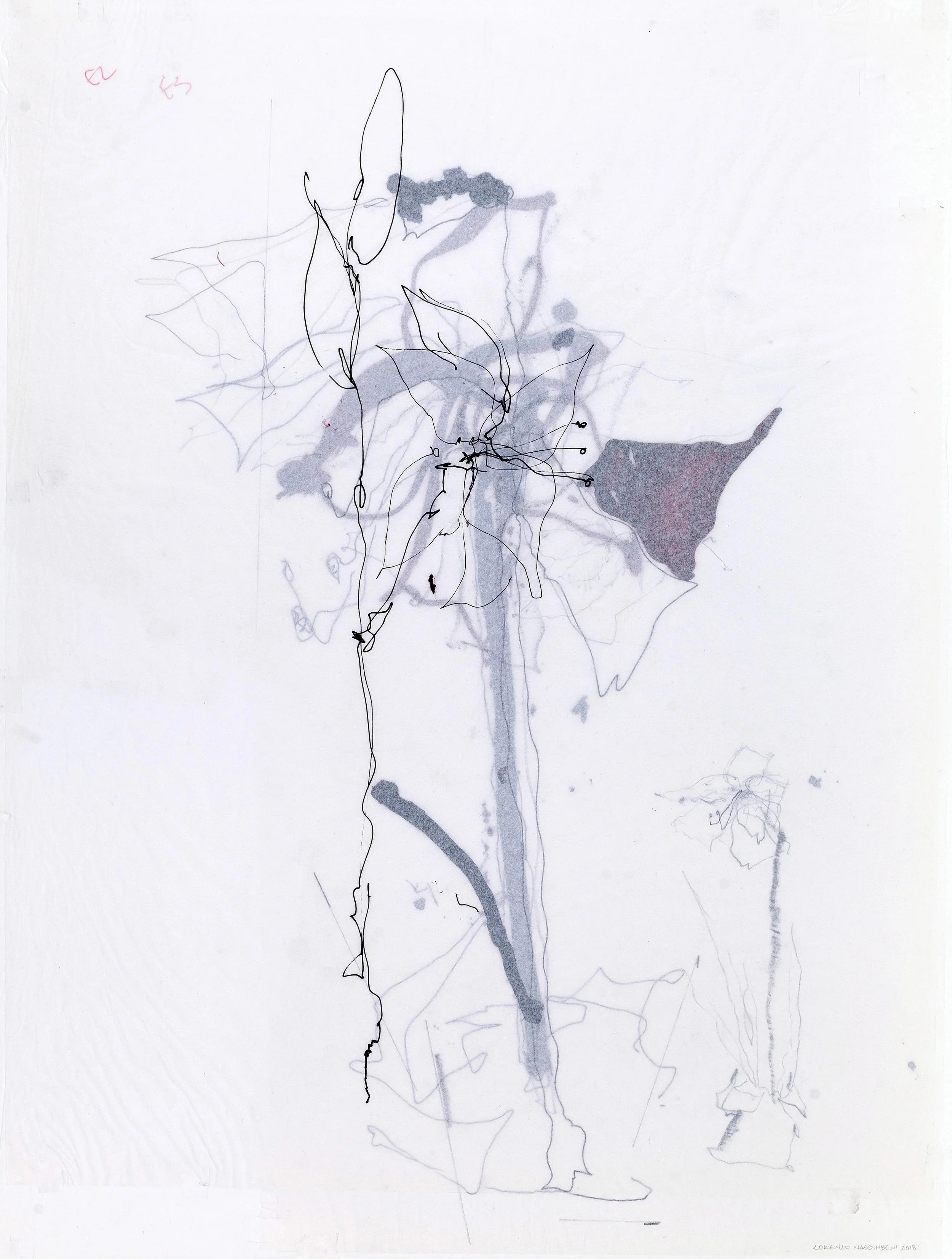 Healing, Acrylic ink, pencil and graphite on tissue paper, 42 cm x 60 cm, 2018
