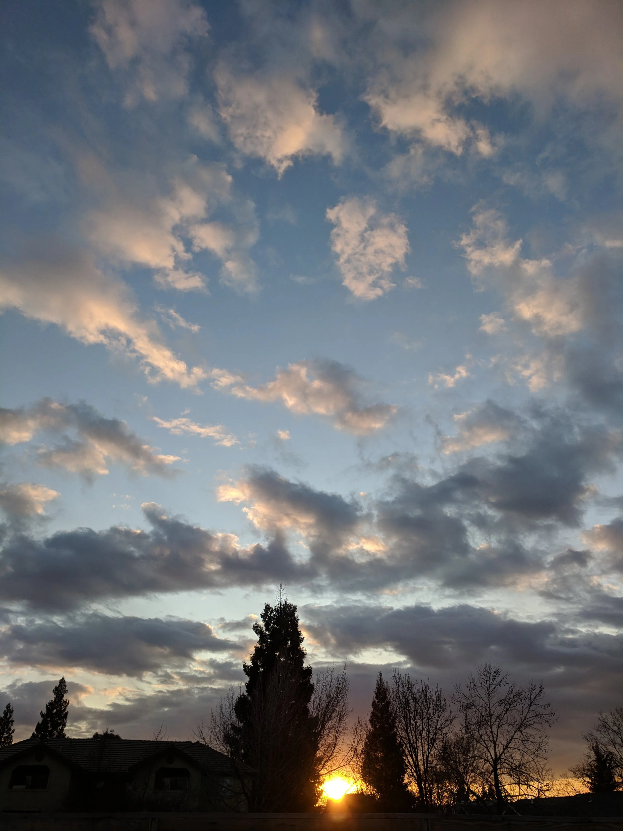 Fresh Air