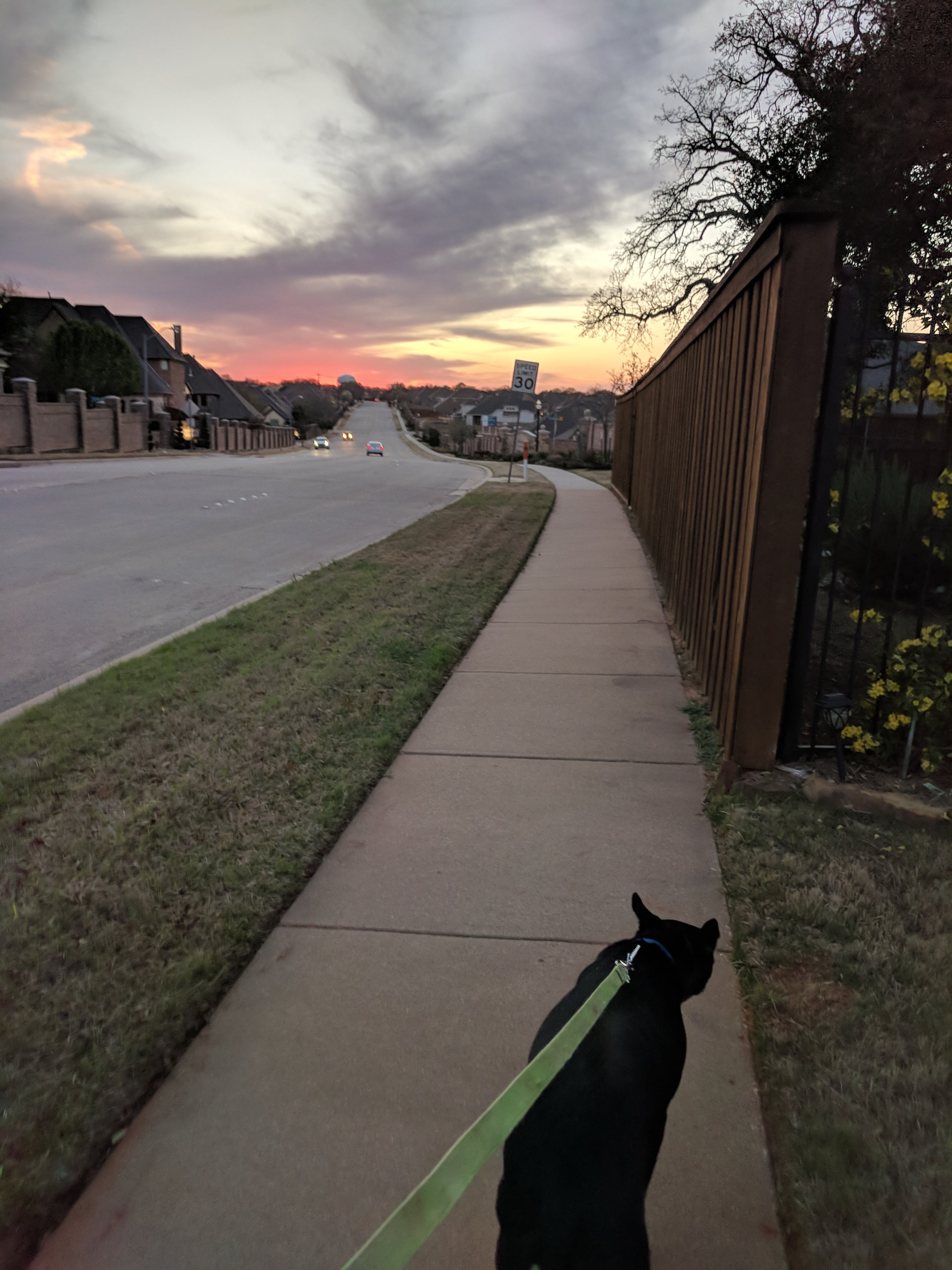 Alive in the Fire_Dallas Part 2 (26).jpg