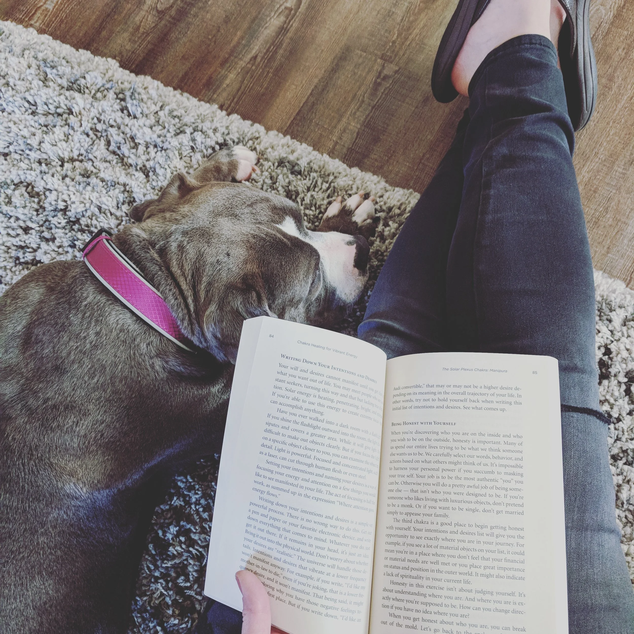 Alive in the Fire_reading.jpg