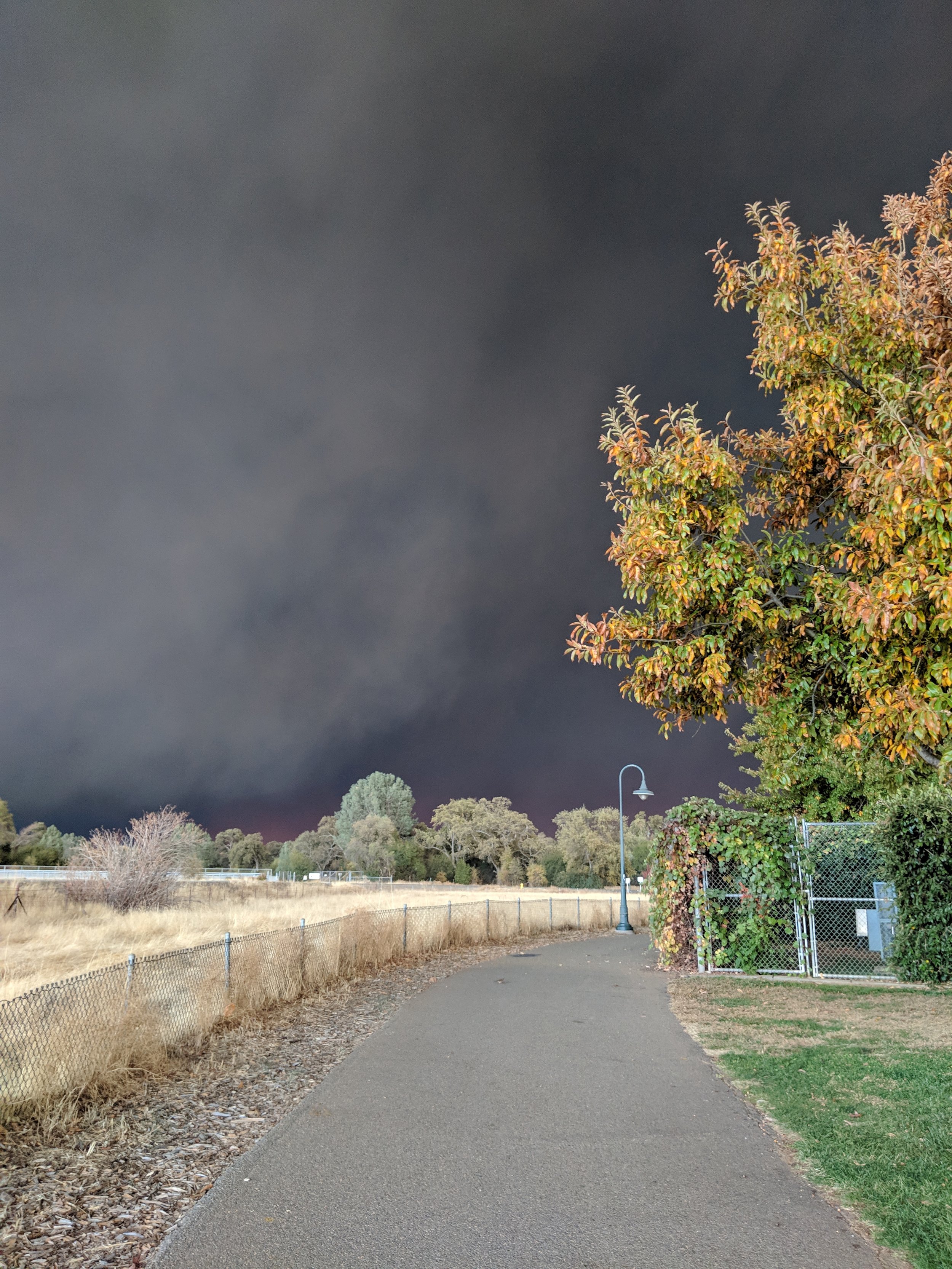 Alive in the Fire_Camp Fire Butte County (21).jpg