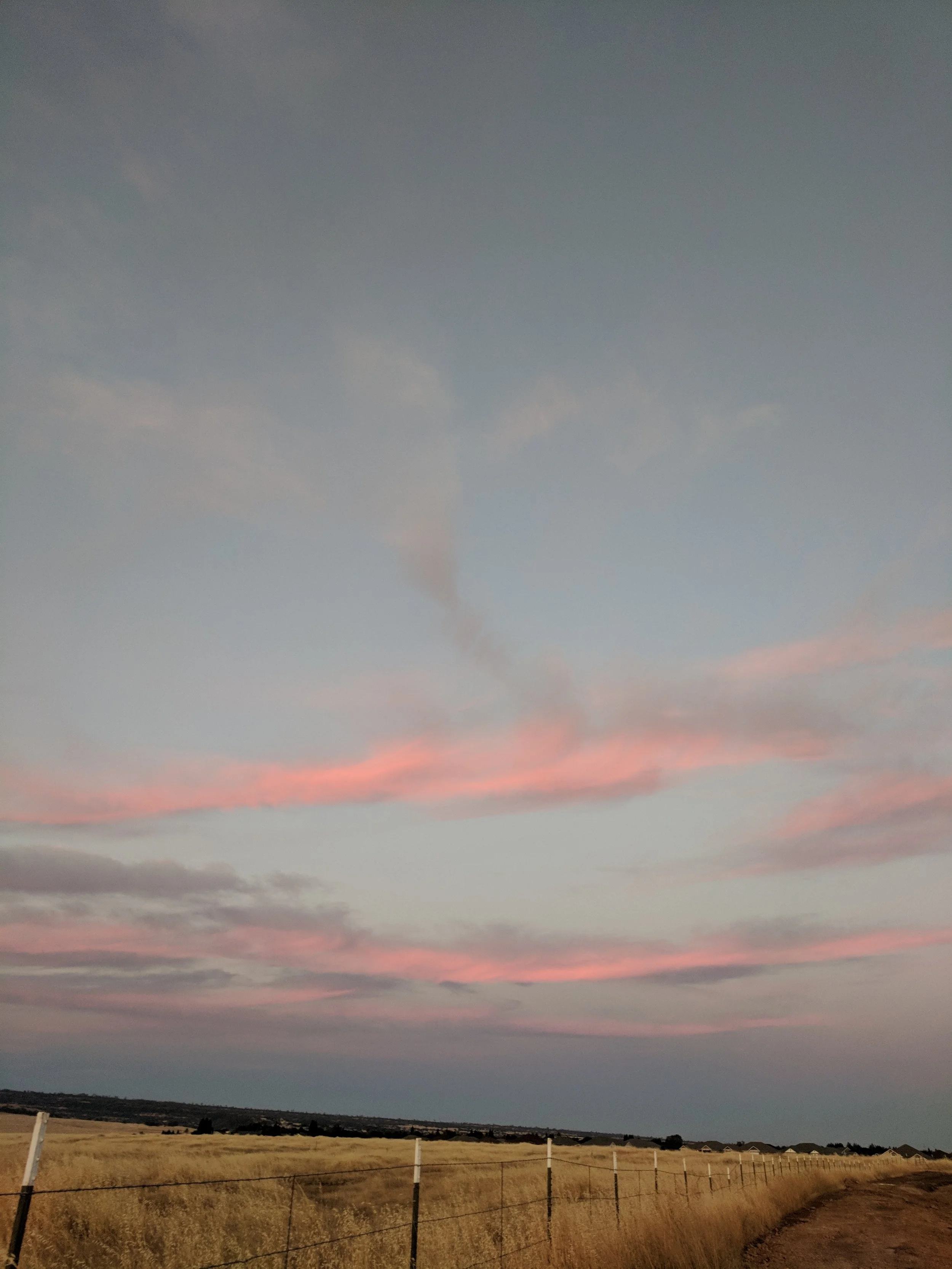 Alive in the Fire_Sunset.jpg