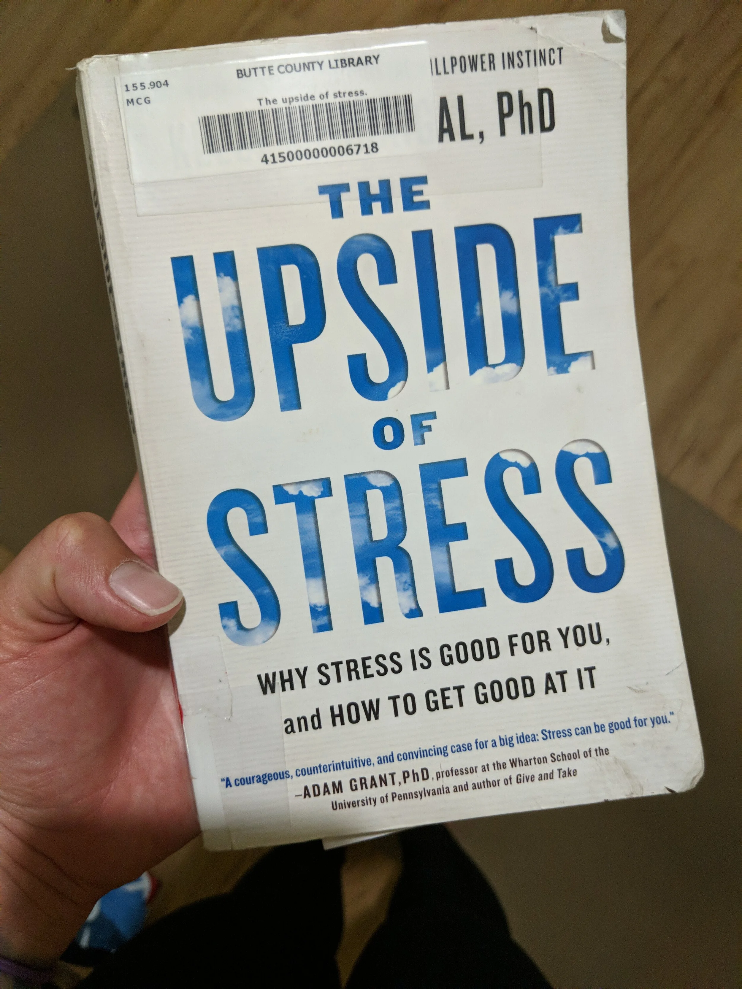 Alive in the Fire_upside of stress.jpg