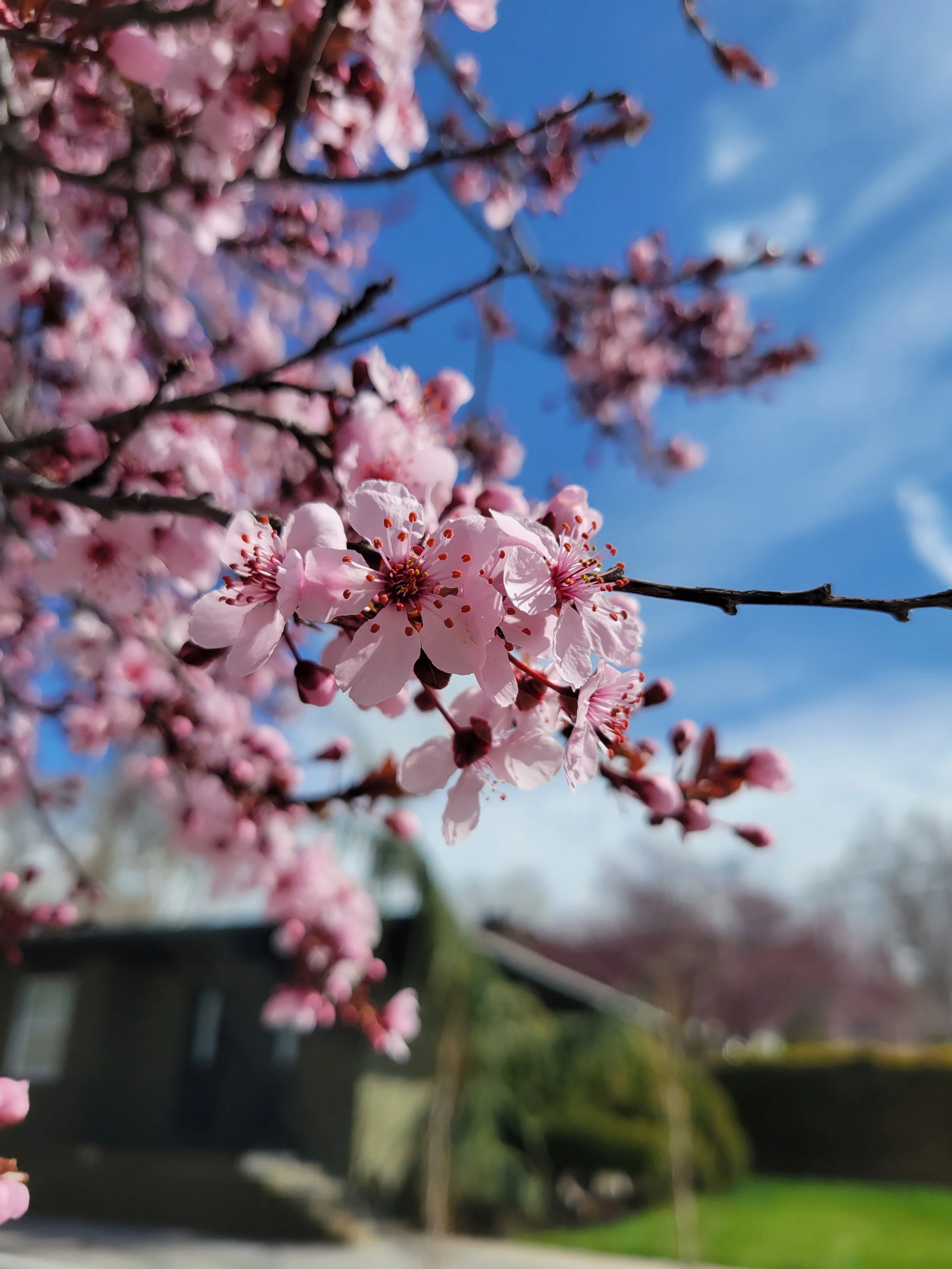 Hints of Spring