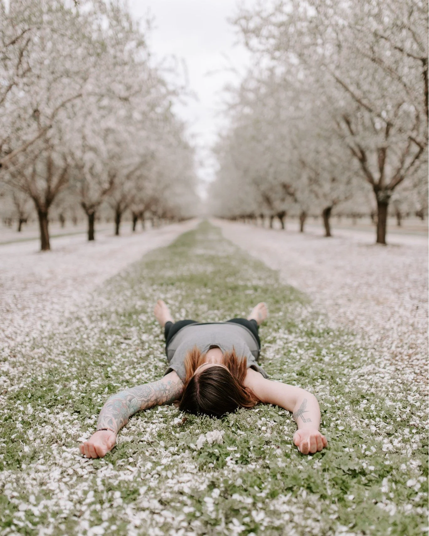 NERVOUS SYSTEM REGULATION as a ghostwriter and book editor 📙✨👁🦋

One thing I don&rsquo;t see talked about much in the publishing world is the nervous system. How our bodies are involved in our writing. This matters more than people realize.

The e