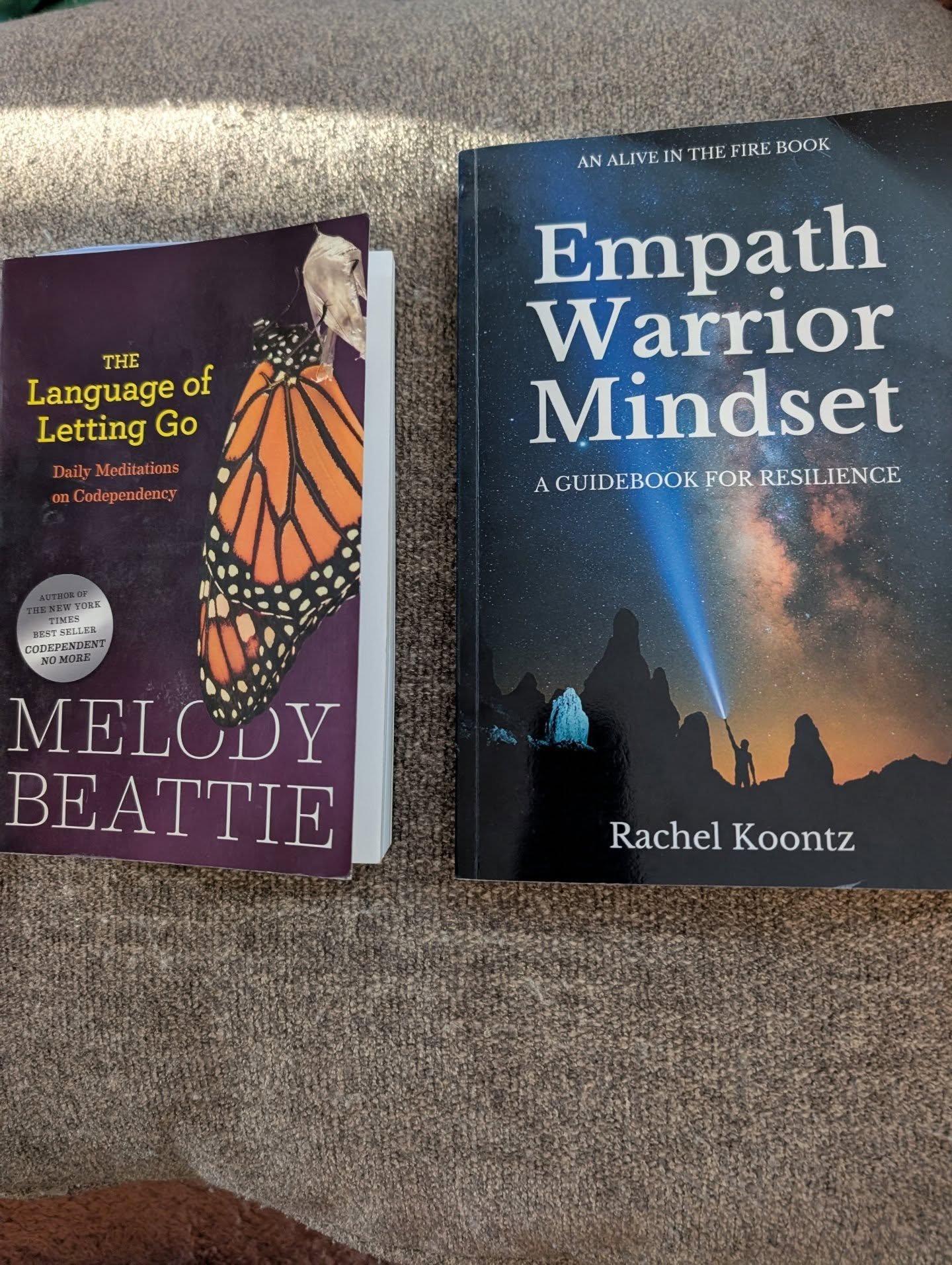 I'm reading two books right now. Every morning for the last eight days my husband and I sit together for a few minutes and read out loud from:

The Language of Letting Go by Melody Beattie, a book she published in 1990

Empath Warrior Mindset, a book