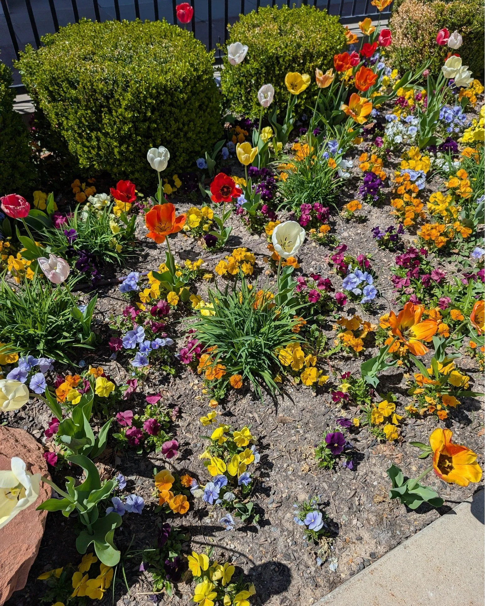 This last month has honestly been one of the hardest months.

I'm processing a lot.

I'm in a massive wave of change.

It's hard to share online while I'm still 'in it,' and I debated whether to even post this. But asking for help has been big for me