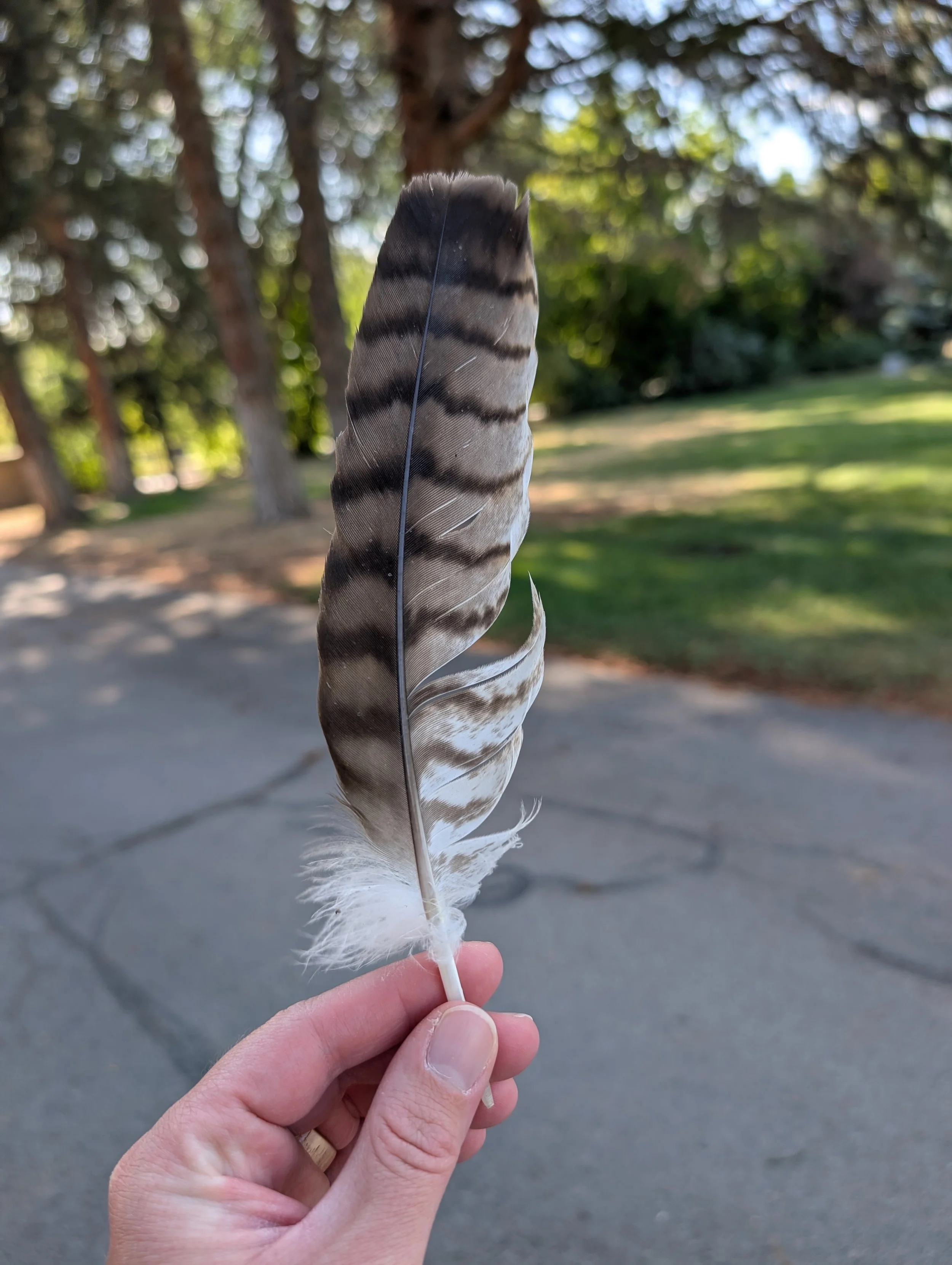 Trusting the Divine Path I'm On (Reflections on This Past Year and All Its Transformations)