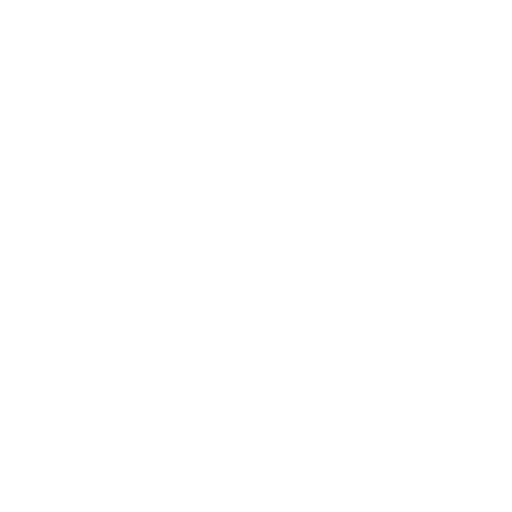 Logo_AJE wit kopie.png