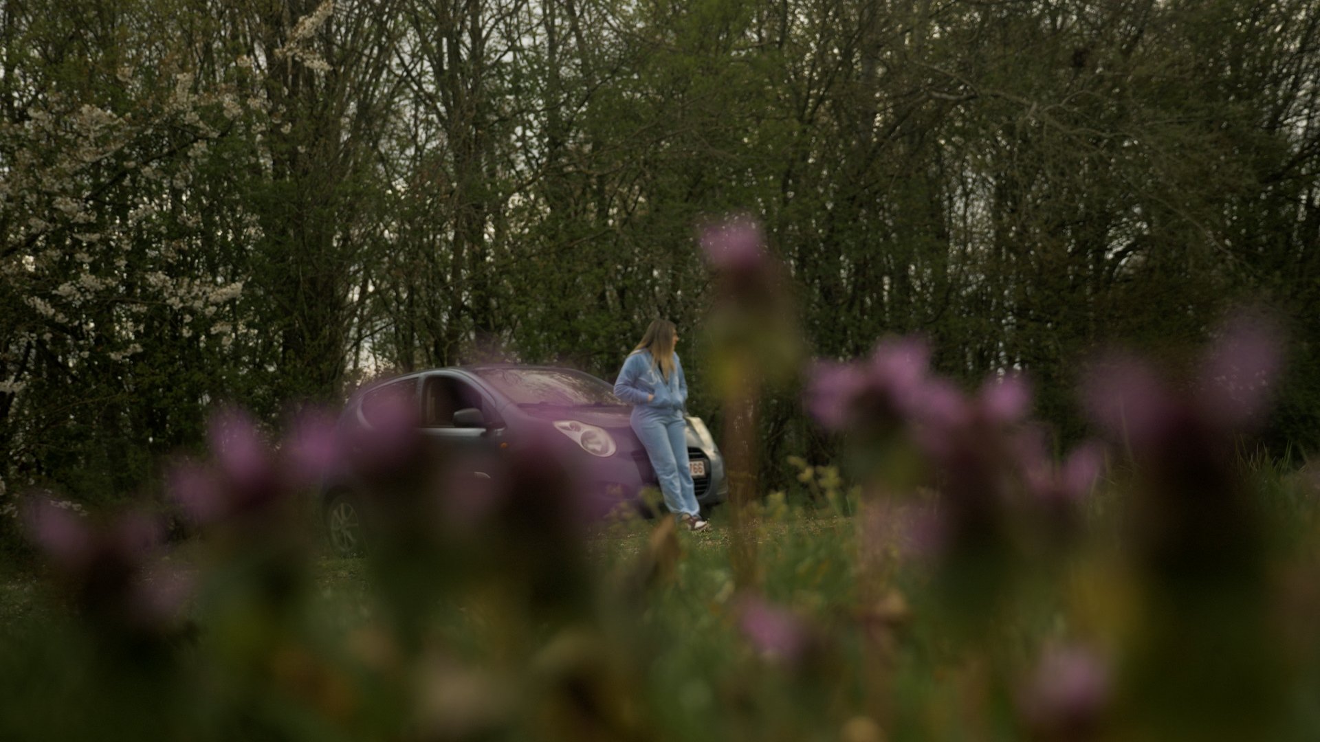 Femke auto bloemen voorgrond.jpg