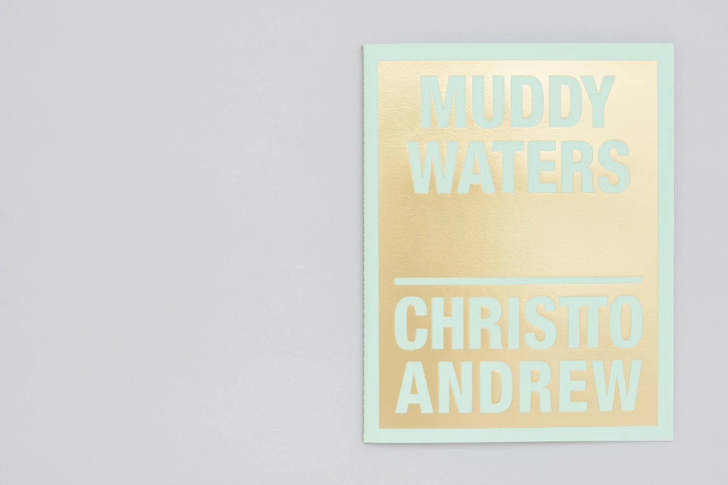MUDDY WATERS_2.jpg