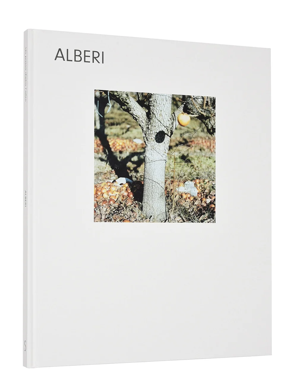 ALBERI_1.jpg