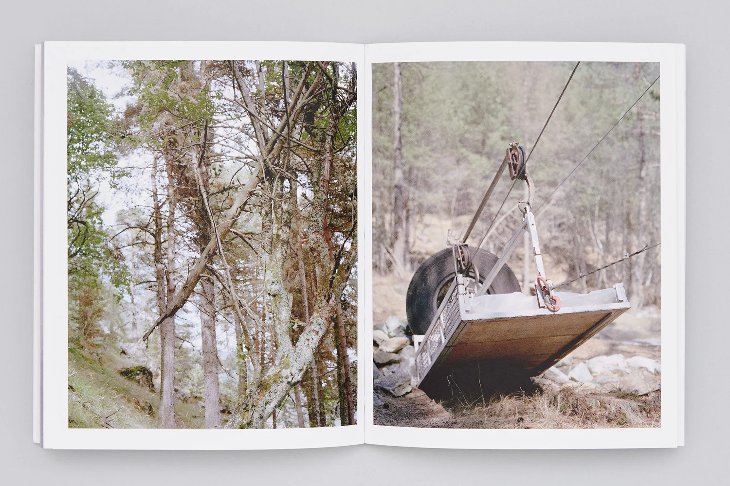 Thoreau_5.jpg