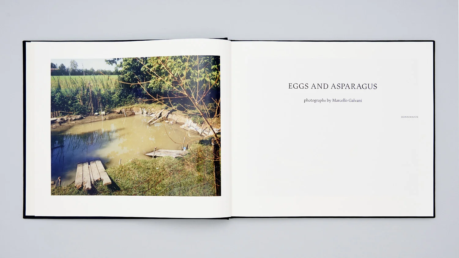 EGGS AND ASPARAGUS 03.jpg