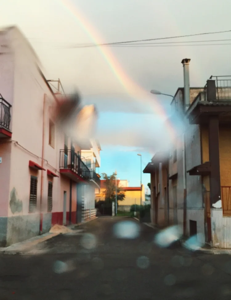 rainbow16.jpg