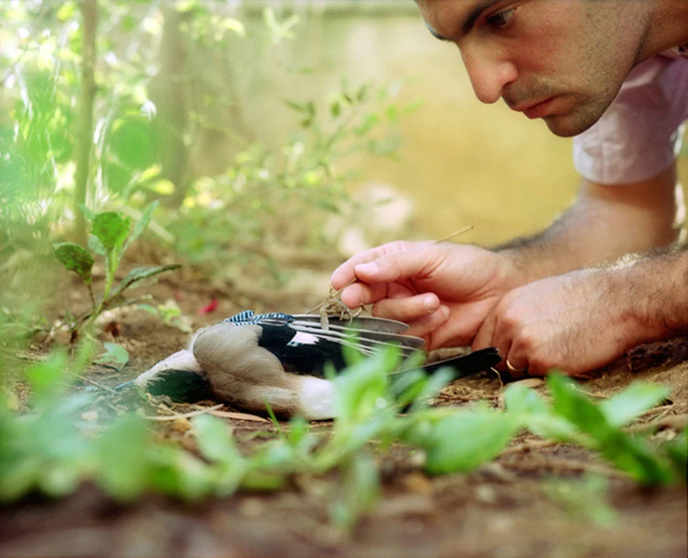 Giustavo Sagorsky.jpeg