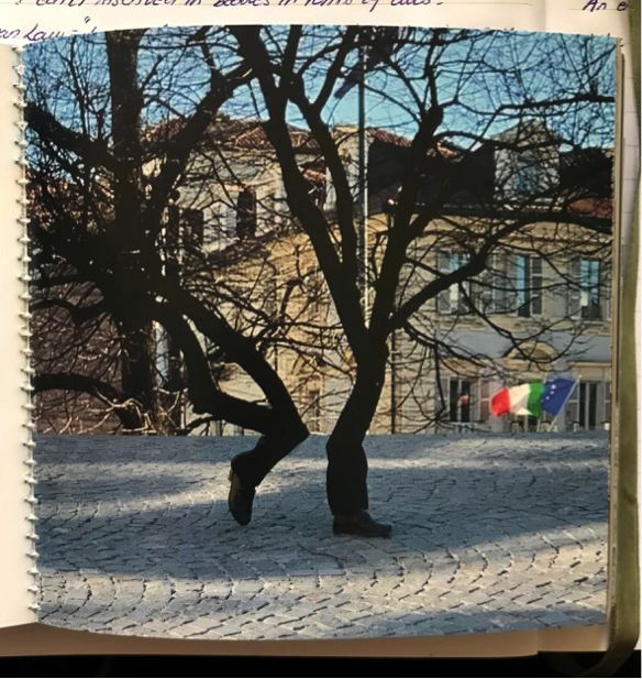 SINGLE IMAGE #2 - FONTANESI
