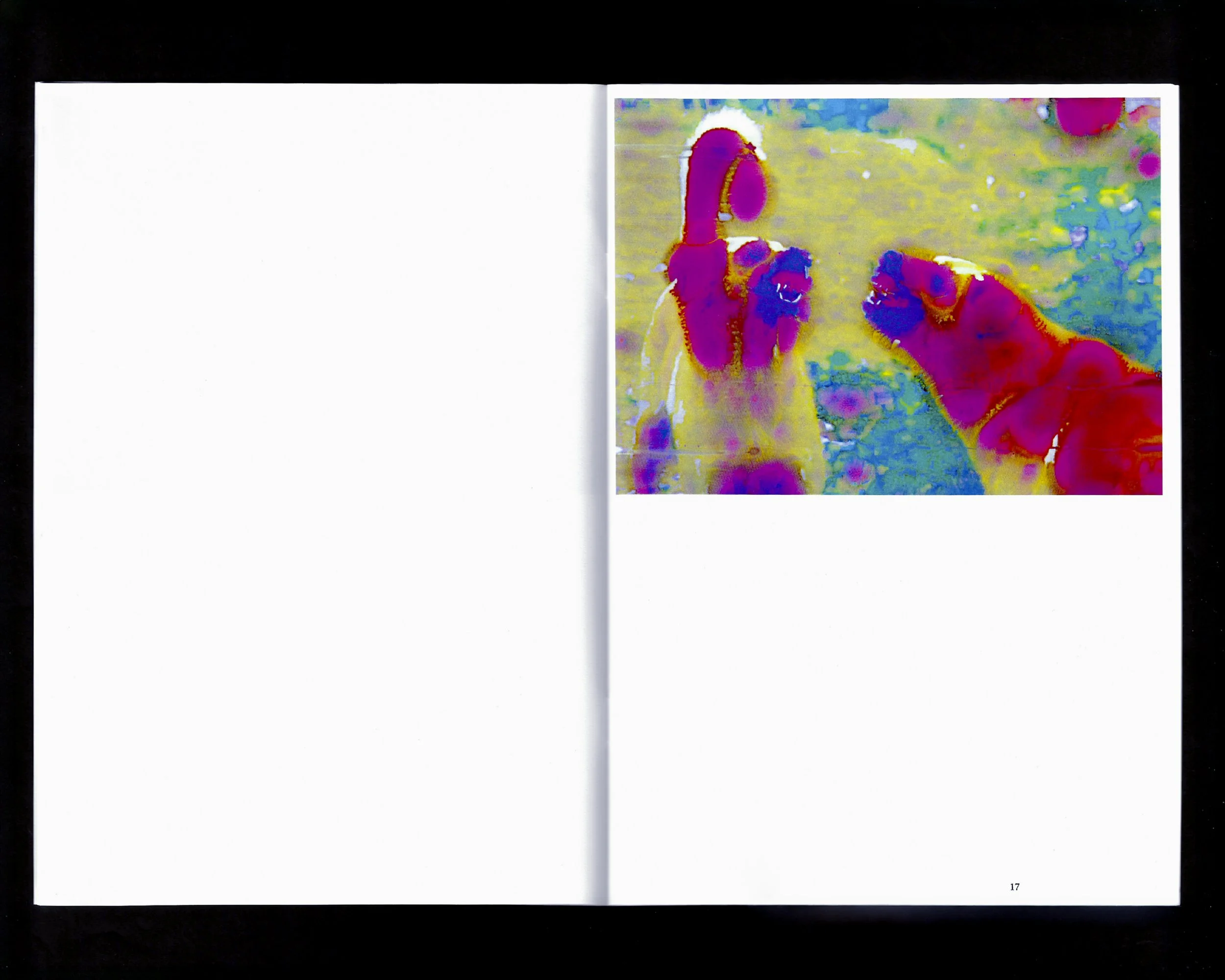 ALESSANDRO CALABRESE_HOG3.jpg