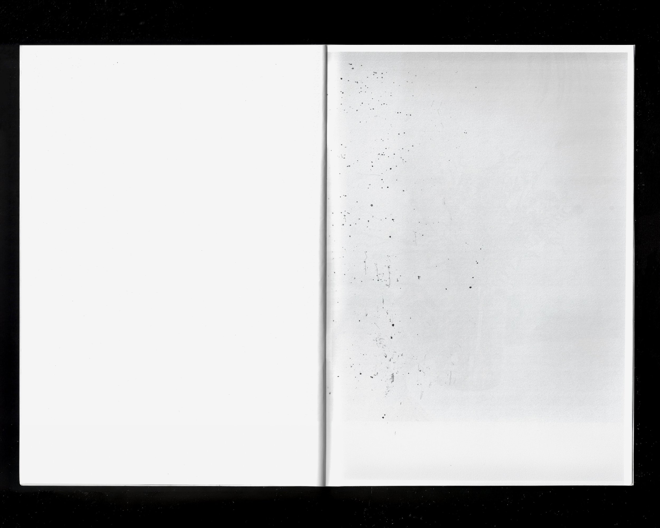 ALESSANDRO CALABRESE_HOG13.jpg