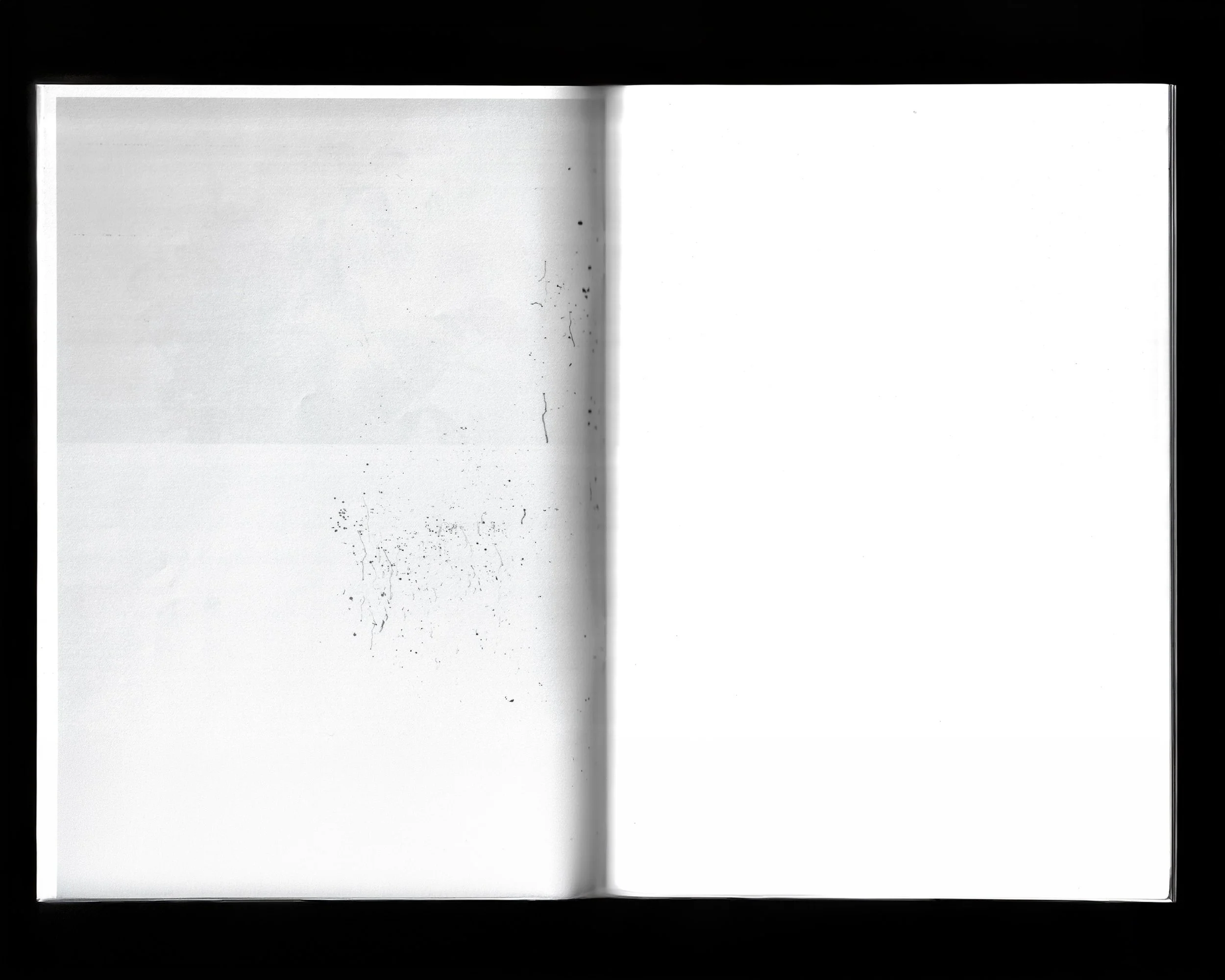 ALESSANDRO CALABRESE_HOG5.jpg