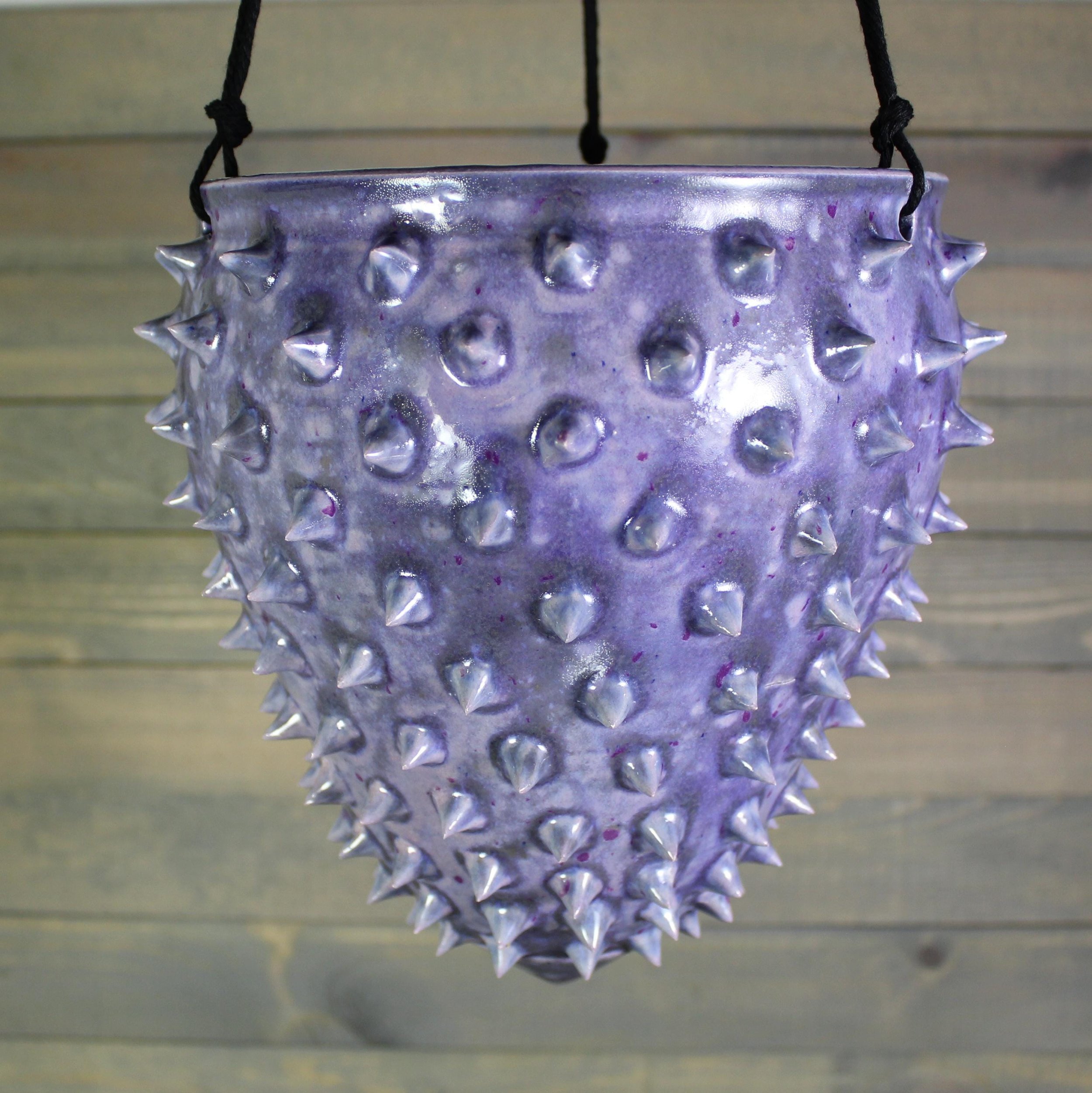 https://i.etsystatic.com/5126974/r/il/413b6e/6693825488/il_fullxfull.6693825488_oa4z.jpg