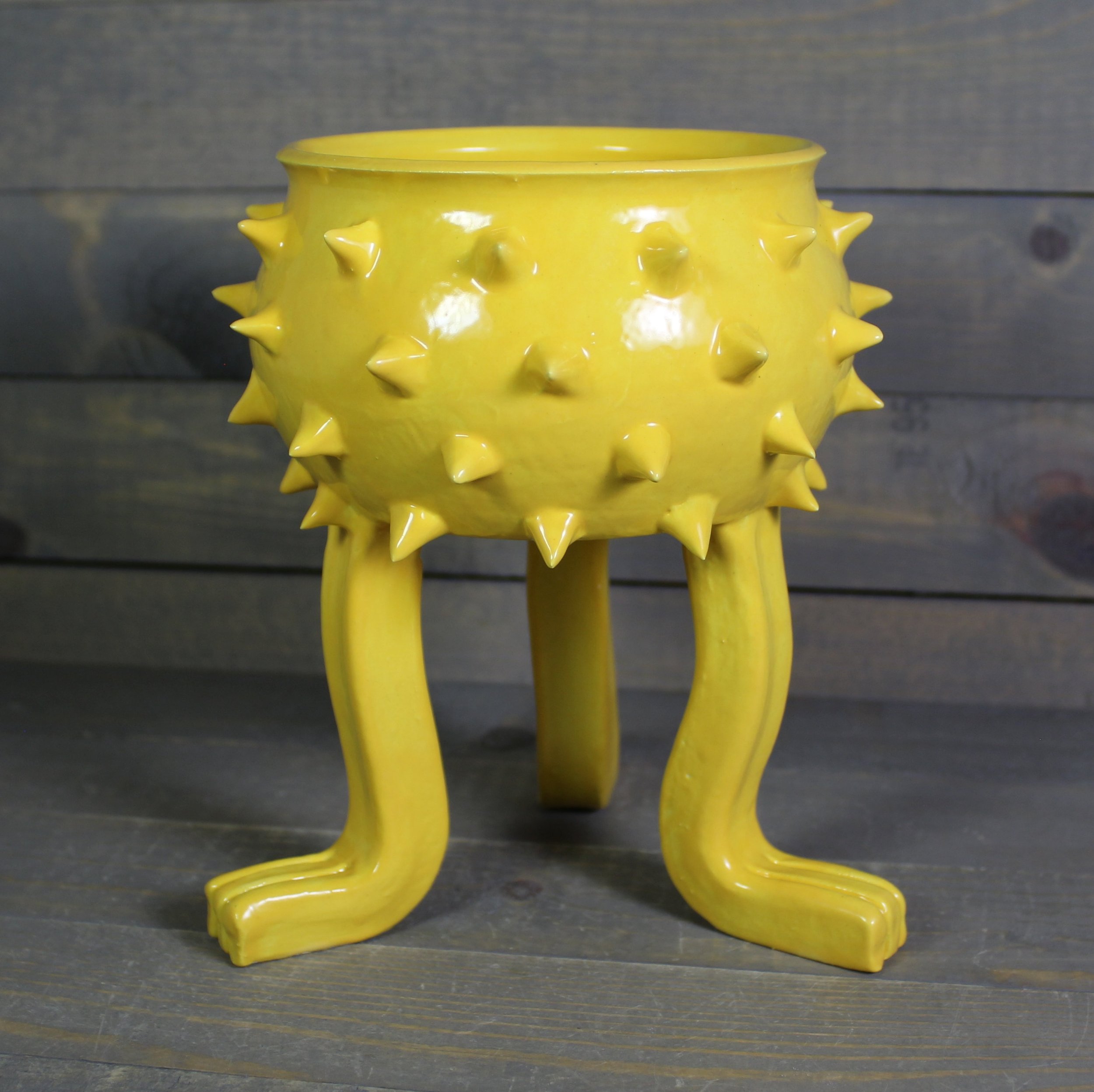 https://i.etsystatic.com/5126974/r/il/edfa19/6136529273/il_fullxfull.6136529273_scyi.jpg