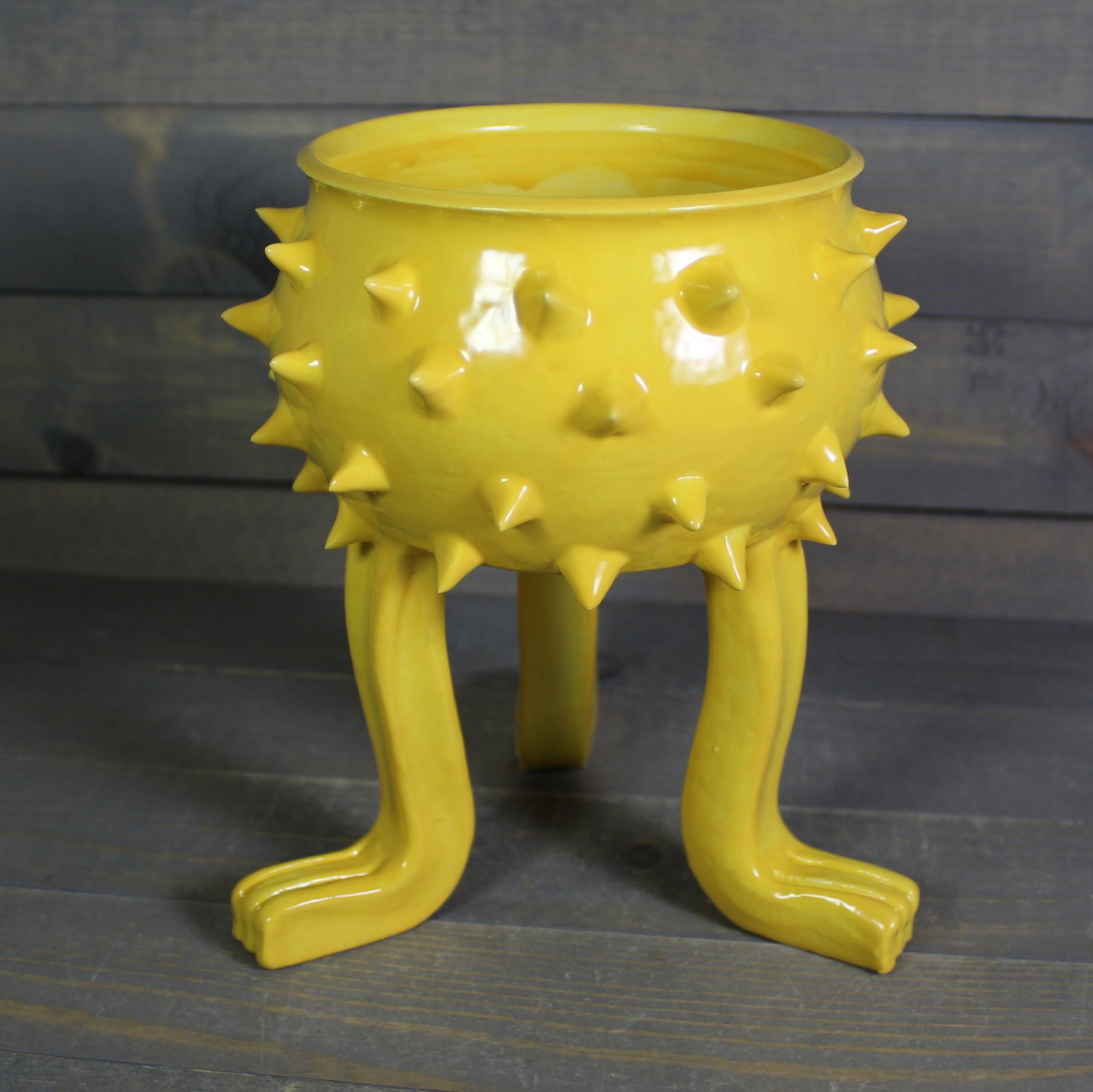 https://i.etsystatic.com/5126974/r/il/680fe5/6136529259/il_fullxfull.6136529259_ho2b.jpg