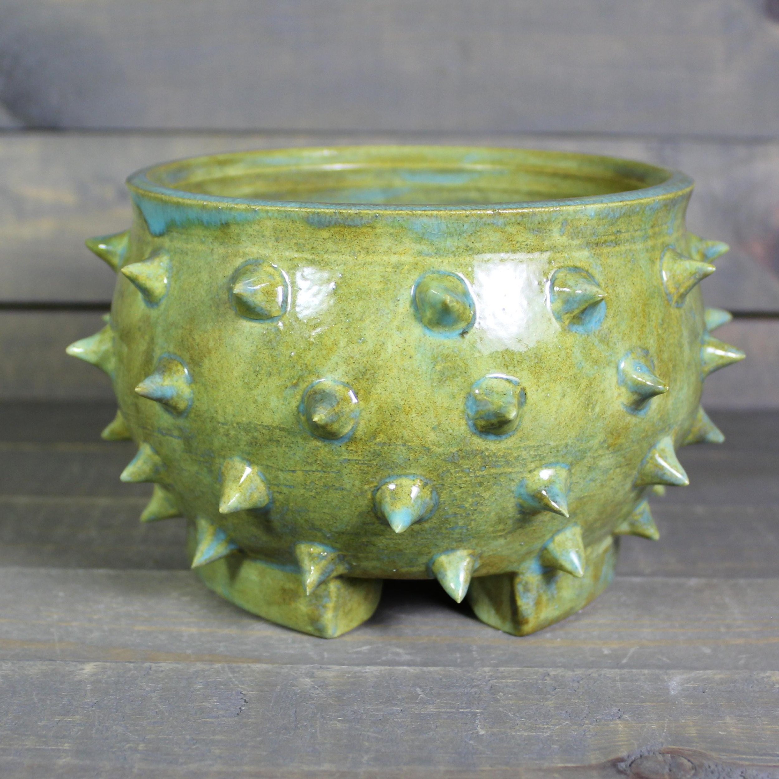 https://i.etsystatic.com/5126974/r/il/15738f/6547603668/il_fullxfull.6547603668_rls6.jpg