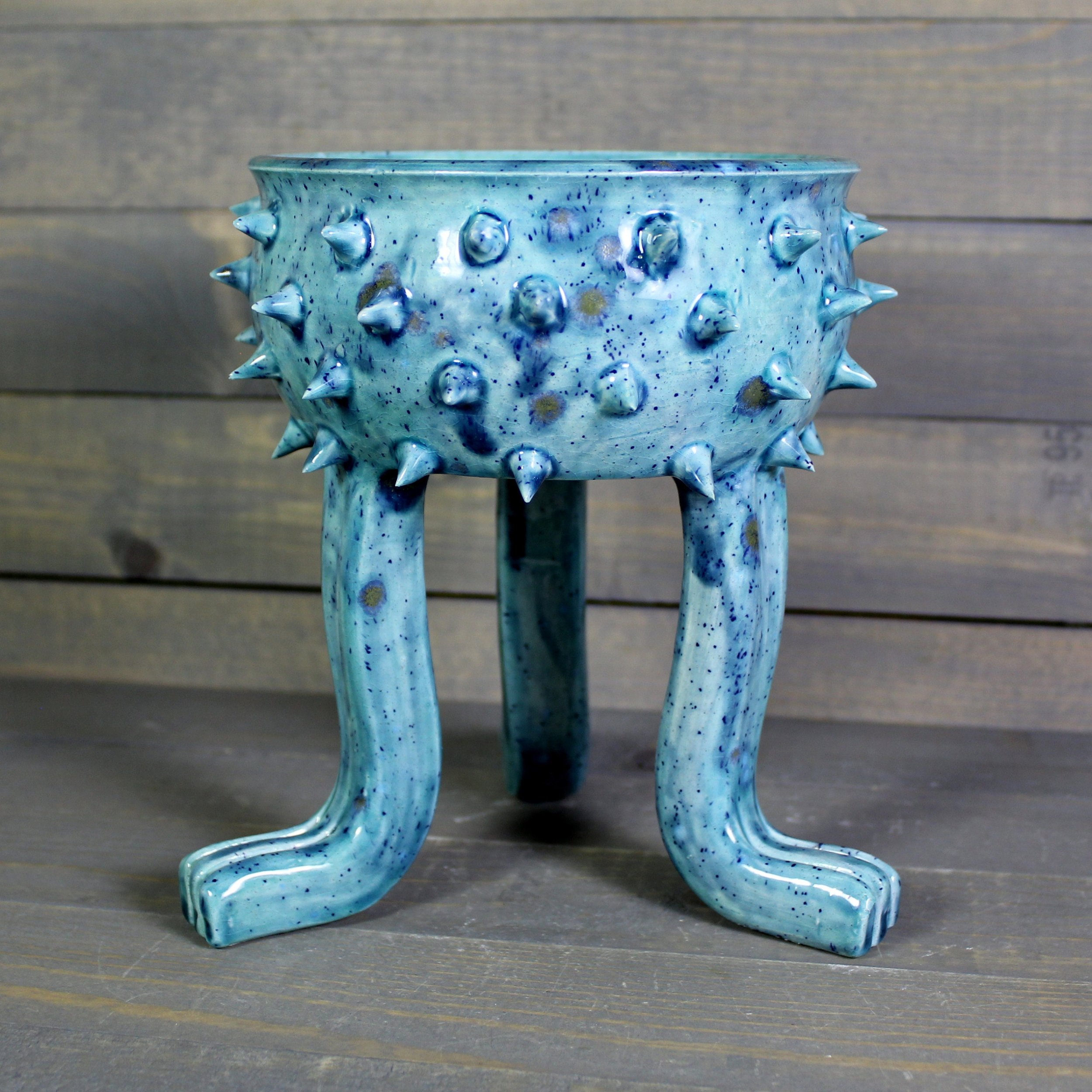 https://i.etsystatic.com/5126974/r/il/24aff5/5289172771/il_fullxfull.5289172771_5rln.jpg