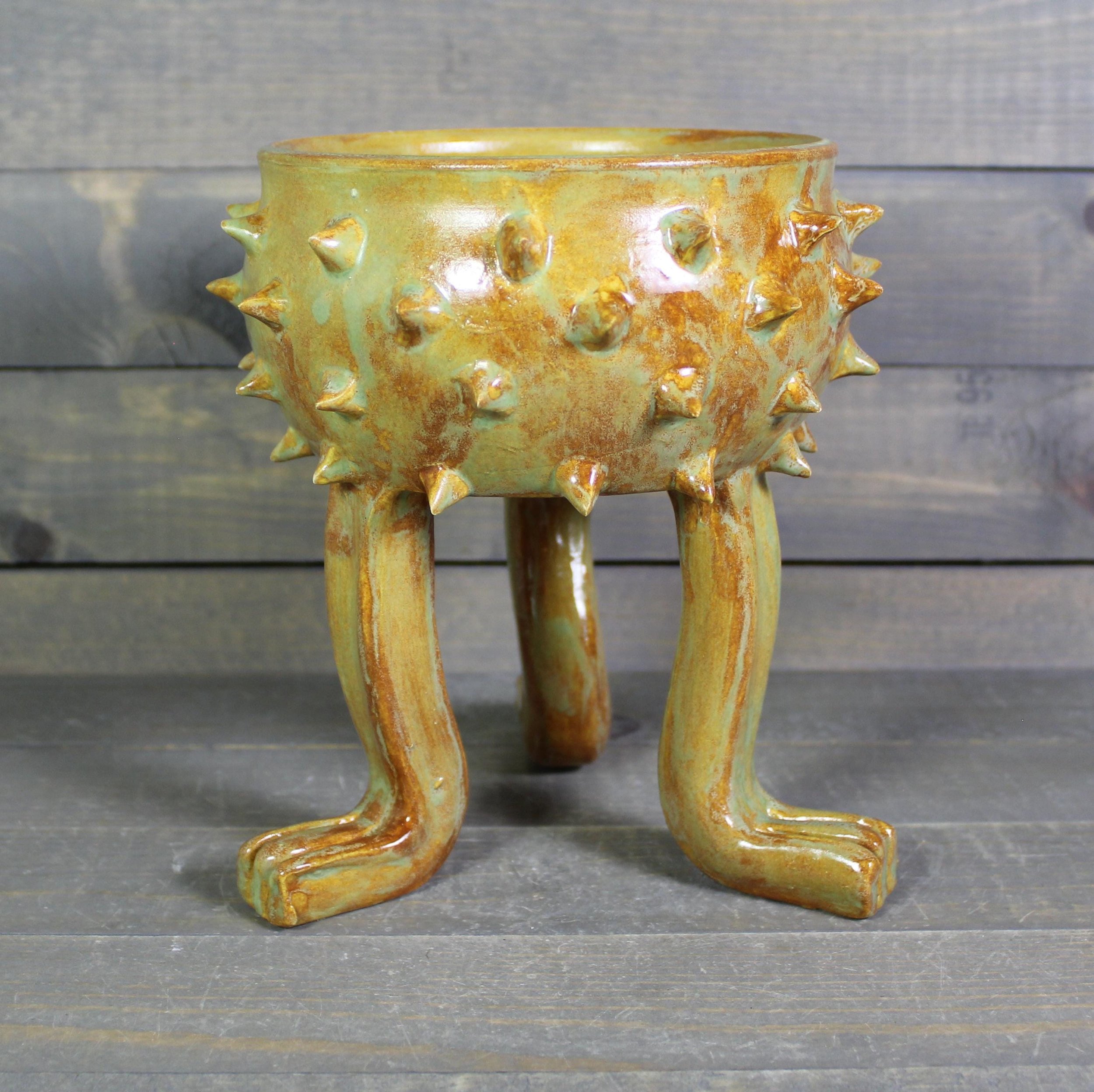 https://i.etsystatic.com/5126974/r/il/c45c59/6885914287/il_fullxfull.6885914287_cq09.jpg