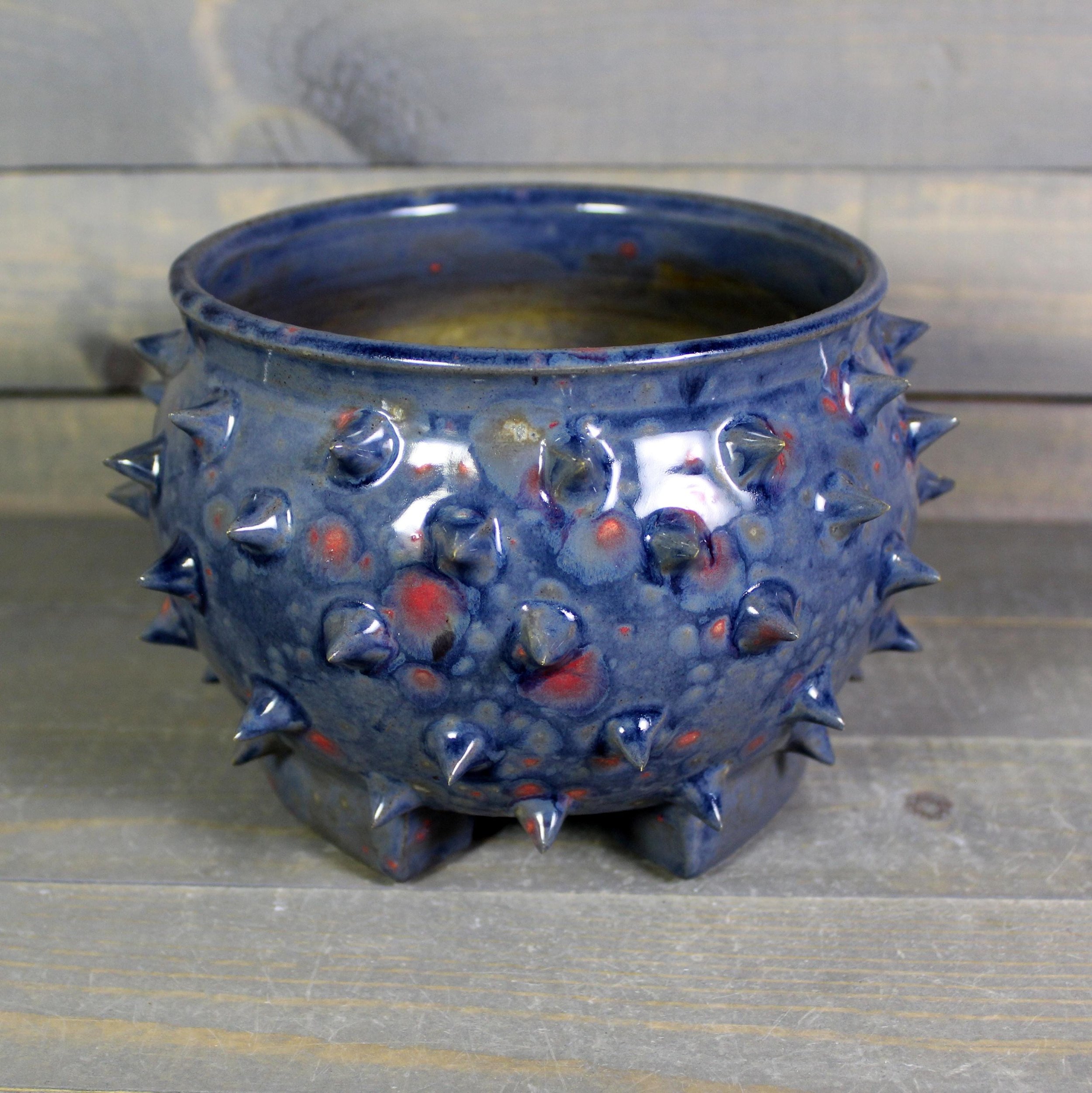 https://i.etsystatic.com/5126974/r/il/0e659c/6883534953/il_fullxfull.6883534953_g00z.jpg
