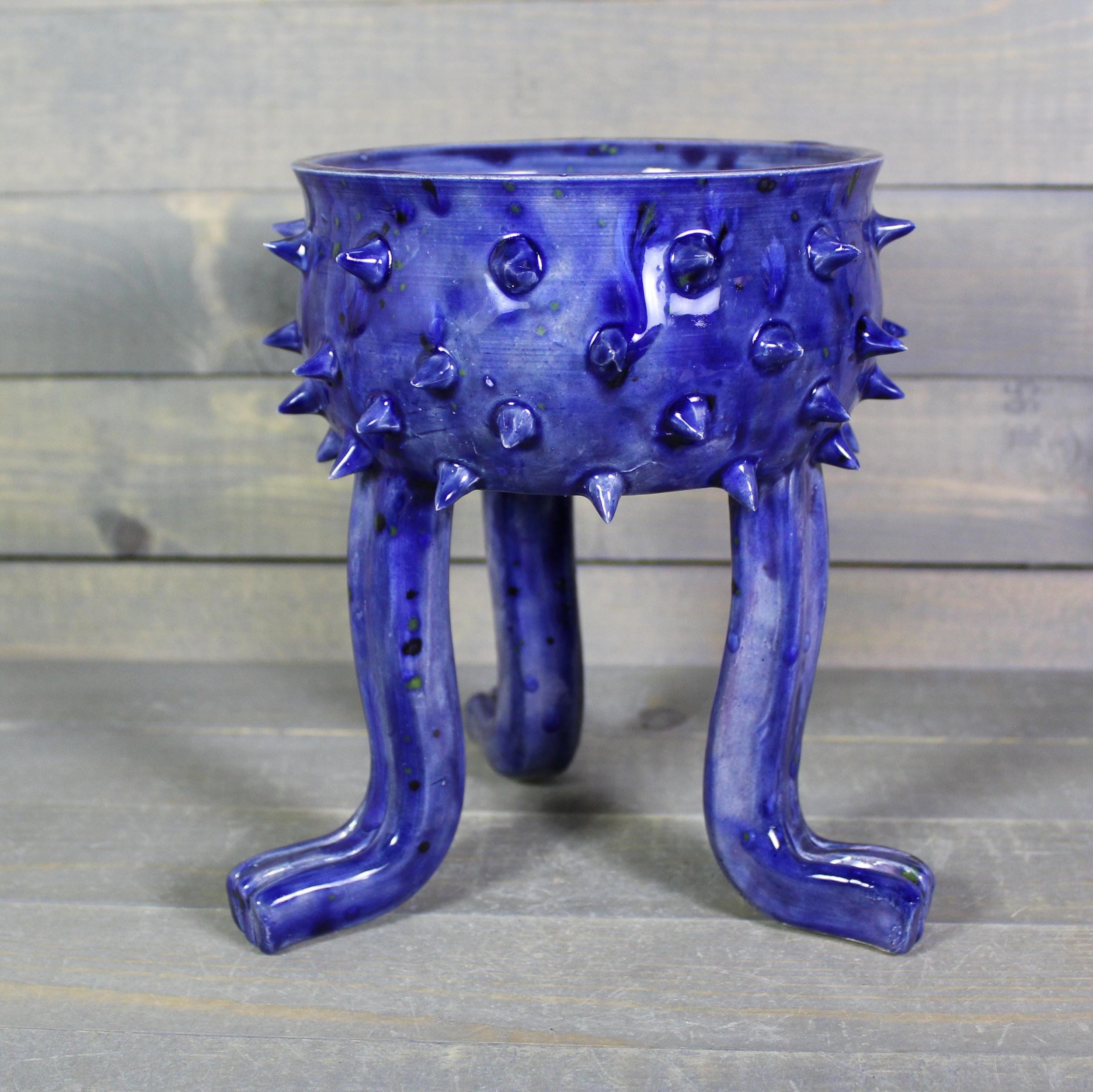 https://i.etsystatic.com/5126974/r/il/8124dd/6834565826/il_fullxfull.6834565826_tmvu.jpg