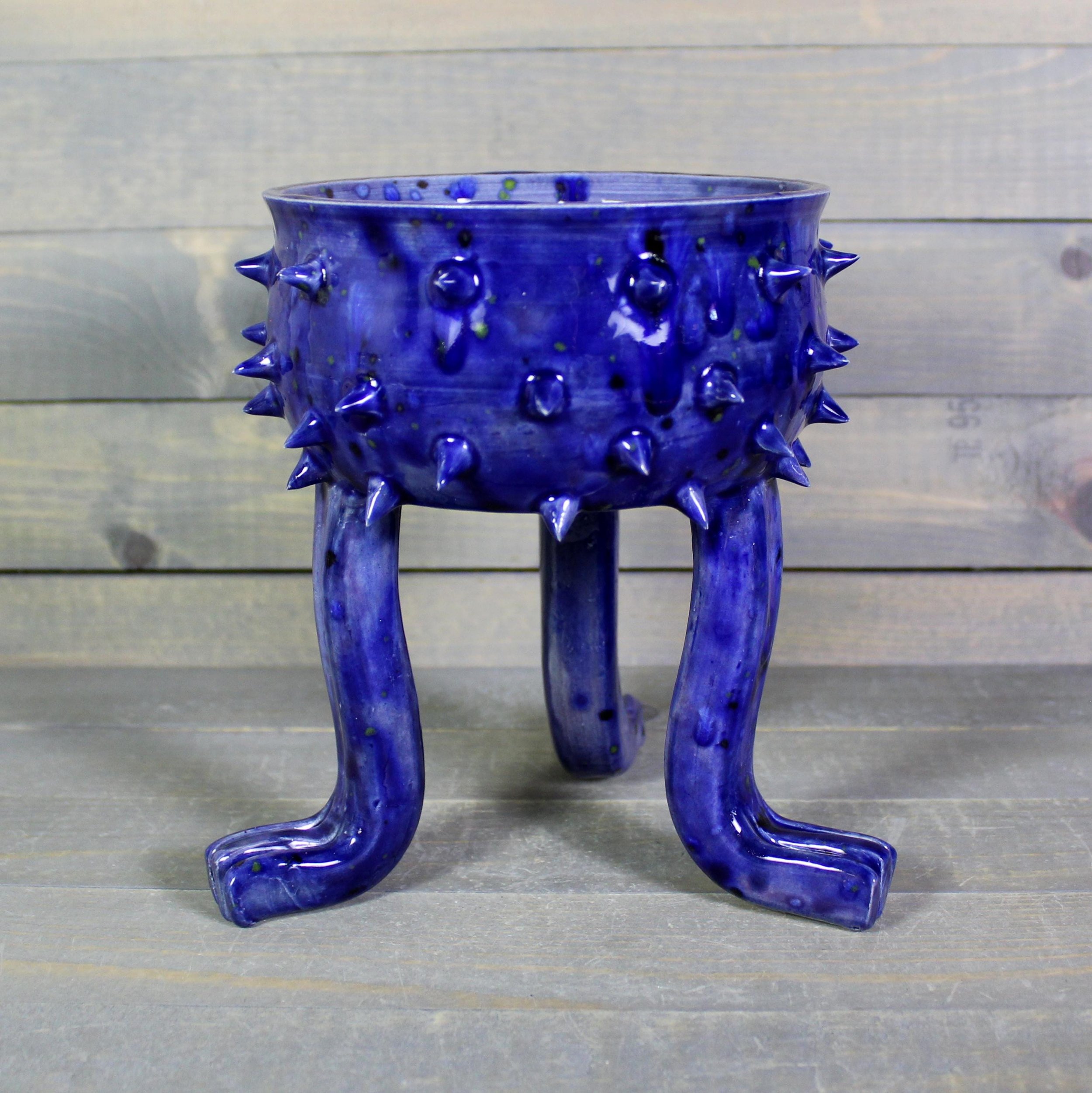 https://i.etsystatic.com/5126974/r/il/392dff/6882539463/il_fullxfull.6882539463_ohyt.jpg