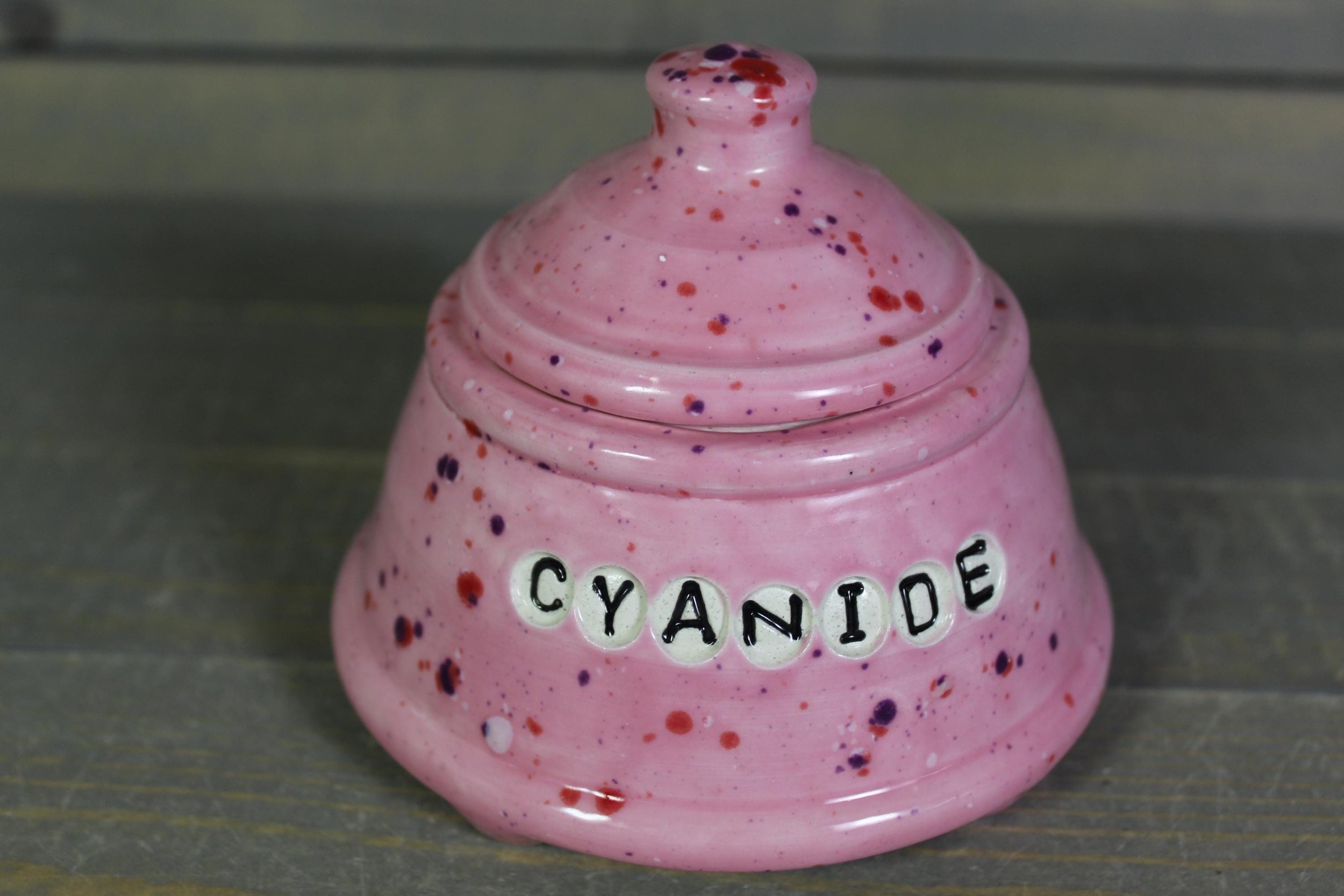 https://i.etsystatic.com/5126974/r/il/2fa1a0/6823897178/il_fullxfull.6823897178_qscf.jpg